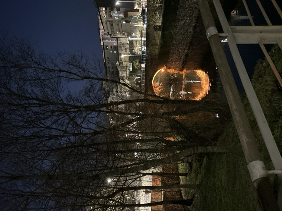 The image captures a nocturnal urban waterside scene along the Fervença River in Bragança, Portugal, featuring the Ponte Romana. In the lower right foreground, a metal bridge railing is partially visible. The Fervença River flows centrally, its dark surface reflecting a prominent warm orange light from underneath the Ponte Romana's main stone arch. This arch is the dominant structural element in the midground, spanning the river with a flat deck upon which vehicles are faintly discernible.
On the left riverbank, a dense cluster of bare deciduous trees stands, their stark branches silhouetted against the ambient urban illumination. Beyond these trees, on a paved pathway along the river, a single human figure is visible as a dark, indistinct silhouette walking from left to right, positioned near a streetlight. The right riverbank is characterized by a stacked stone retaining wall.
In the background, on elevated terrain, numerous multi-story urban buildings with illuminated windows are visible against a dark blue night sky. The entire scene is illuminated by a combination of white streetlights and the distinctive orange architectural lighting on the bridge, creating areas of contrast and reflection.