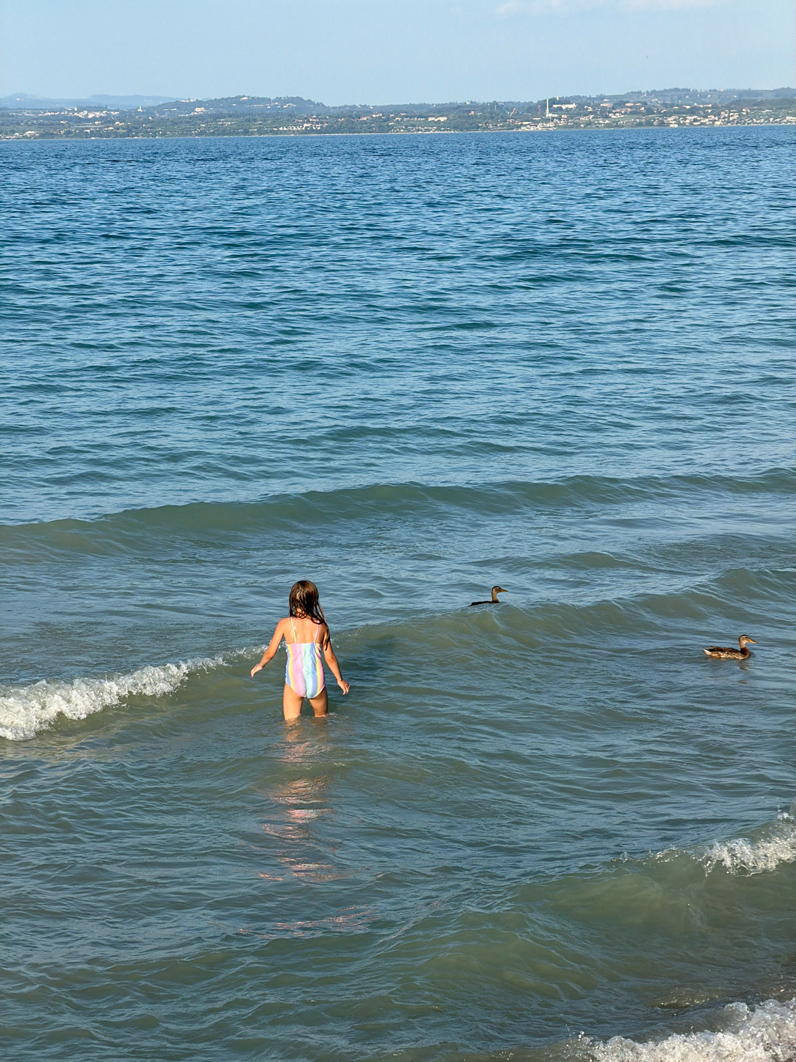 A young girl wearing a rainbow-striped swimsuit stands in the shallow water of a large lake, facing away from the camera. Two ducks swim in the water, one to her right and another further to her left. The lake is calm with gentle waves. In the background, a distant shoreline with buildings and trees is visible under a clear sky. The setting appears to be a public beach or lakeside area in Sirmione, Italy, given the characteristic view of the lake with the town on the distant shore.