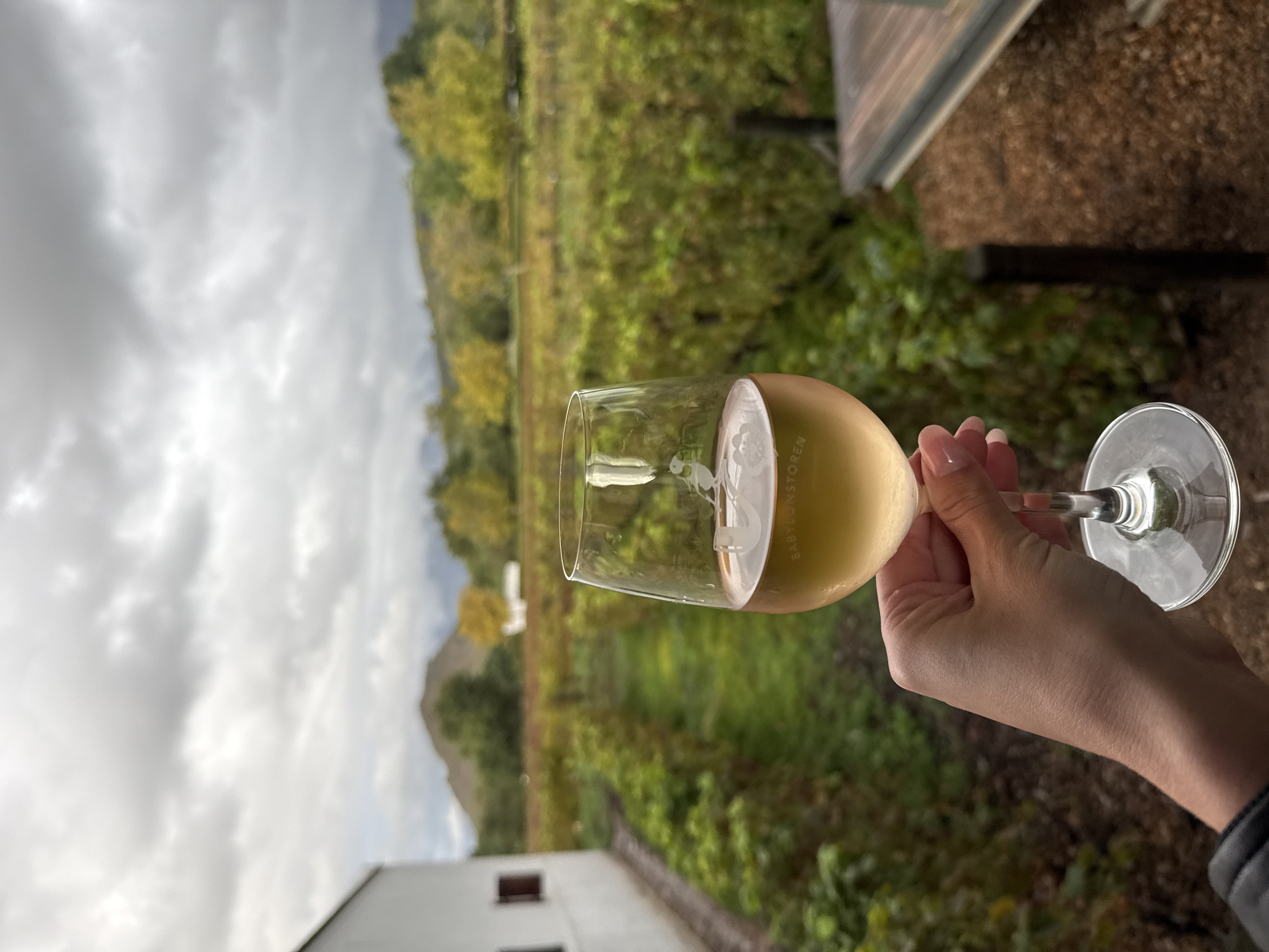 A person is holding a glass of white wine in Drakenstein Nu, South Africa. The wine glass, etched with a logo, is about one-third full. The person's hand and part of their arm are visible, with manicured nails. The background includes a vineyard with green and yellow foliage under a cloudy sky. A partial view of a white building with windows is in the foreground, and a wooden surface is in the top right corner.