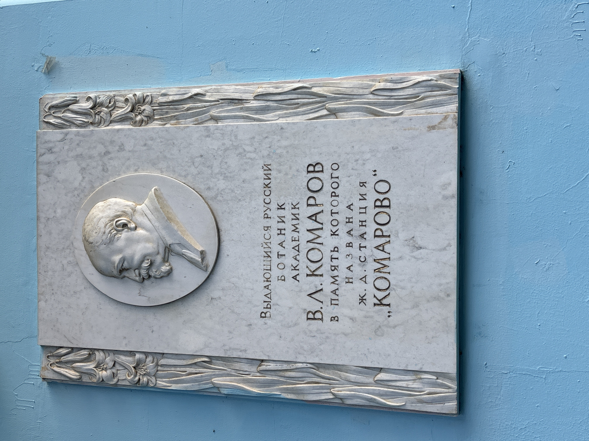 A rectangular marble memorial plaque, featuring a bas-relief portrait and Cyrillic text, is affixed to a textured, light blue wall. The plaque's main subject is a circular bas-relief of a man's bust in profile, facing left, depicting an older man with a beard. Above and below the main text area, decorative carved borders show floral patterns, possibly lilies or similar plants, set against a wavy, leaf-like background design.
The text on the plaque is in Russian and reads:
"ВЫДАЮЩИЙСЯ РУССКИЙ БОТАНИК АКАДЕМИК
В.Л. КОМАРОВ
В ПАМЯТЬ КОТОРОГО НАЗВАНА
Ж. Д. СТАНЦИЯ „КОМАРОВО”"
This translates to:
"OUTSTANDING RUSSIAN BOTANIST ACADEMICIAN
V.L. KOMAROV
IN MEMORY OF WHOM IS NAMED
RAILWAY STATION 'KOMAROVO'"
The plaque commemorates Vladimir Leontyevich Komarov, a prominent Russian botanist and academician, after whom the railway station and consequently the settlement of Komarovo in Russia are named. The light blue wall shows signs of wear, with some flaking paint and uneven texture, suggesting an outdoor setting or an interior with aged paintwork. The lighting indicates it is daytime, casting soft shadows.