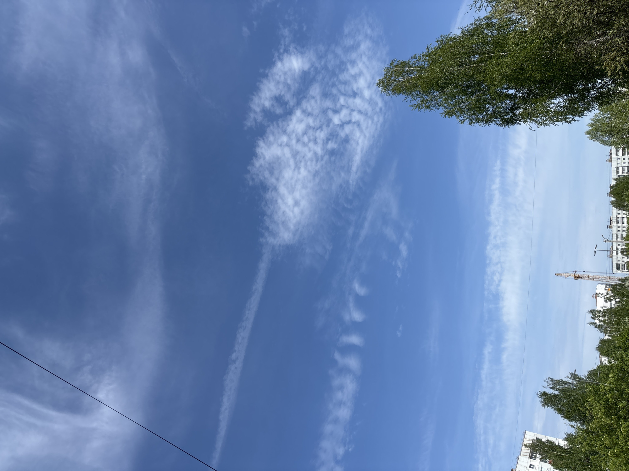 The image is a ground-level shot looking upwards. A deep blue sky occupies the majority of the frame, featuring cirrus clouds with some small, dense cloud formations. On the left, a single electrical wire cuts diagonally across the corner. The top right and bottom right of the image are bordered by green tree foliage, with buildings partially visible behind the trees. In the lower right, a crane is visible amidst the buildings. This scene is located in the city of Chaikovsky, Russia.