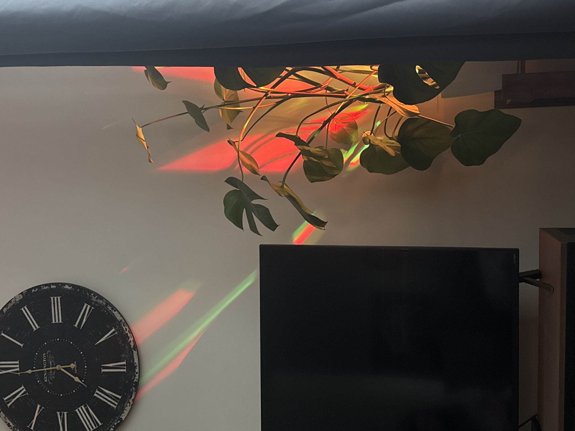 The image depicts an interior scene with a black Roman numeral clock on a white wall, a large black television on a wooden stand, and a potted plant. The scene is illuminated by colored light rays, appearing as streaks of red and green across the wall, clock, and plant. A dark blue curtain is visible on the right side of the frame. The clock shows the time as approximately 6:55. There are no people or animals present. The location is not specified in the image.