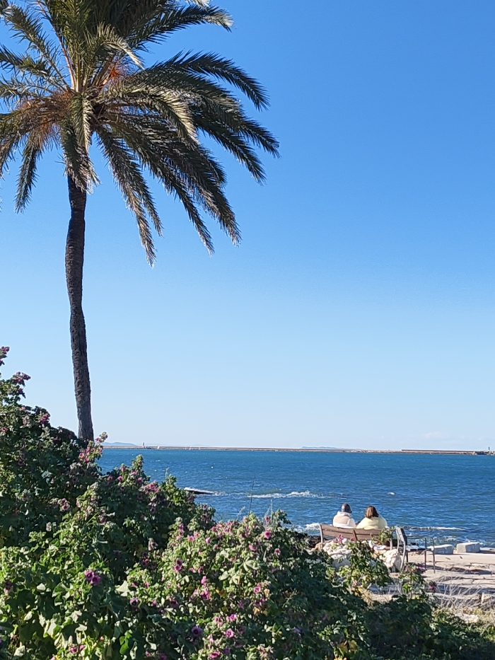 The image captures a serene coastal scene under a clear blue sky, featuring a large palm tree, the sea, and two individuals seated on a bench.
In the upper left portion of the frame, a tall palm tree dominates, its dark brown trunk rising straight upwards. Its fronds, a mix of green and some browning tips, extend gracefully across the top and upper left quadrant of the image, contrasting sharply with the vibrant, cloudless blue sky that fills the remainder of the upper and central parts of the photograph.
Below the palm tree, and stretching across the middle of the image, is the deep blue sea. The water shows gentle ripples and small waves, with lighter blue and white patches indicating movement. In the far distance, a long, low-lying structure, likely a breakwater or distant coastline, extends horizontally across the horizon. A very faint white marker or lighthouse can be seen at the far right end of this distant line.
In the foreground, particularly in the lower left and center, lush green bushes with numerous small, purplish-pink flowers create a vibrant border. These flowering bushes partially obscure the view towards the lower right.
Towards the lower right, partially visible behind and through the bushes, two people are seated on a dark-colored bench. They are viewed from behind, facing out towards the sea. The person on the left is wearing a light-colored, possibly beige or cream, top or jacket, while the person on the right is wearing a yellow or light green top. They appear to be relaxing and enjoying the tranquil sea view. The bench rests on a paved or stone area adjacent to the water, with some uneven steps or ground visible to its right.
The overall impression is one of a calm and pleasant day, likely morning or afternoon, with bright sunshine and good weather, inviting peaceful contemplation by the sea. No text is visible in the image.