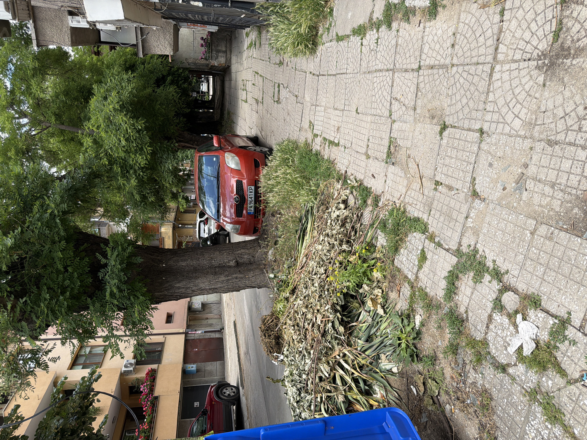 The image depicts a street scene in Pazardzhik, Bulgaria. A red Toyota Yaris with license plate PA 9641 KP is parked on the right side of a paved walkway. Adjacent to the car and walkway, a large pile of dried leaves and plant debris is accumulated next to a large tree. A blue refuse bin is partially visible on the left side of the image. In the background, buildings with balconies adorned with flowers are visible, along with other parked cars and a narrow alleyway. The environment appears to be a residential or mixed-use urban area.