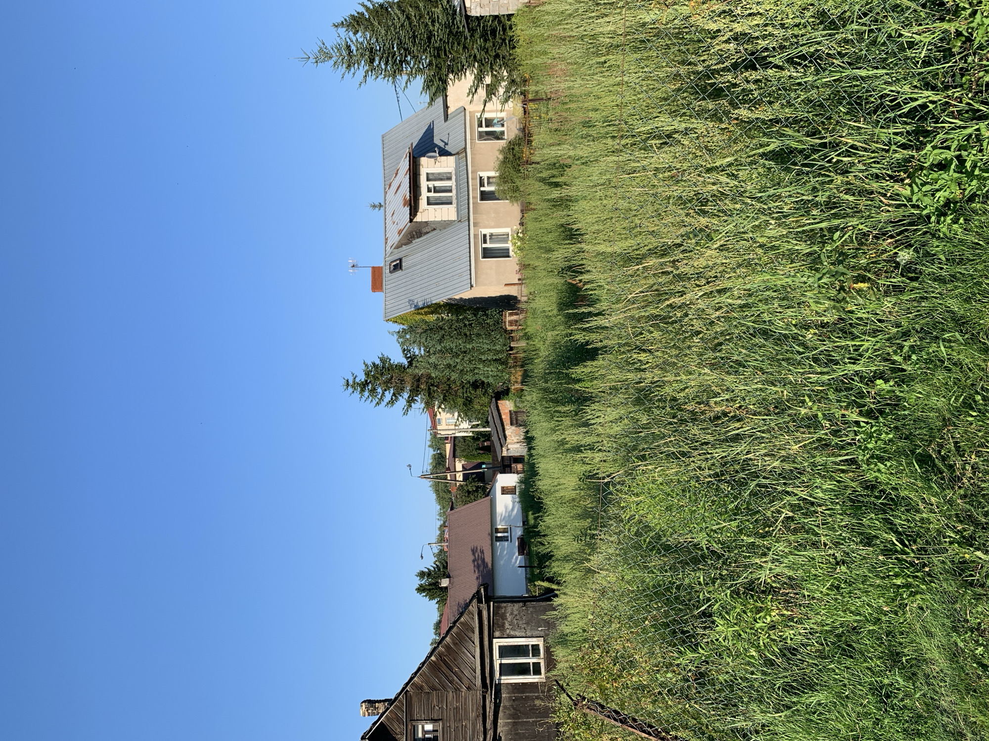 The image depicts a residential area with several houses and lush greenery. The houses vary in architectural style and condition, with one prominent building featuring a metallic roof and dormer windows, possibly with solar panels. Another house appears older, constructed of dark wood with a brick chimney. The surrounding environment is characterized by tall, overgrown grass and trees, suggesting a rural or suburban setting. A wire mesh fence runs through the scene, separating the grassy area from the houses. The sky is a clear, bright blue, indicating a sunny day. The orientation of the image suggests it was taken outdoors, possibly in the late afternoon or early evening, given the quality of light. There are no people visible in the image. The overall impression is one of a tranquil, perhaps slightly neglected, residential area. The location context of Białystok, Poland, provides a geographical setting for this scene.