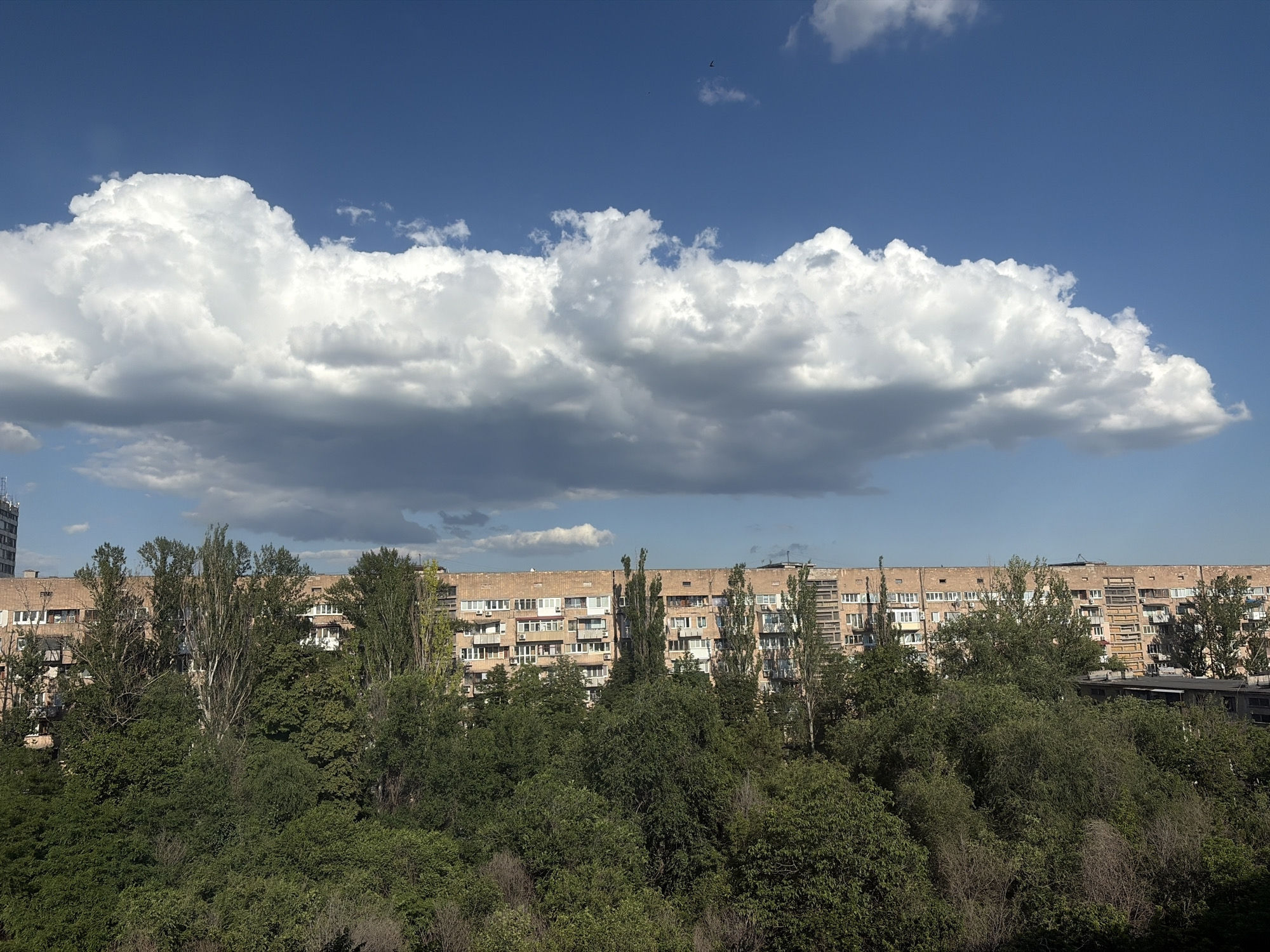 A long, L-shaped apartment building, constructed of brick and concrete, spans the horizon under a bright blue sky dotted with fluffy white clouds and some darker storm clouds. The building features numerous windows, balconies with air conditioners, and some visible antennas. In the foreground, a dense expanse of green trees and foliage obscures the lower portion of the building. The trees are varied in height and density, creating a lush, almost wild, natural barrier between the viewer and the urban structure. A tall, modern building can be seen to the far left, partially obscured by trees.
