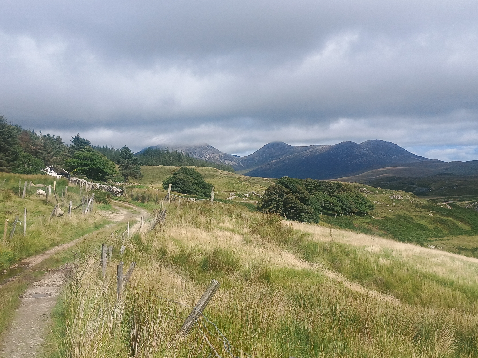 A dirt path winds through a grassy hillside under a cloudy sky. In the distance, mountains rise against the horizon, their peaks partially obscured by mist. A small white house with a dark roof sits nestled amongst trees on the left side of the frame, with a stone wall and a wooden fence running along the path. The landscape is characterized by rolling hills covered in tall, dry grass, with scattered patches of green vegetation and rocky outcrops. The overall scene depicts a rural, possibly remote, natural environment.