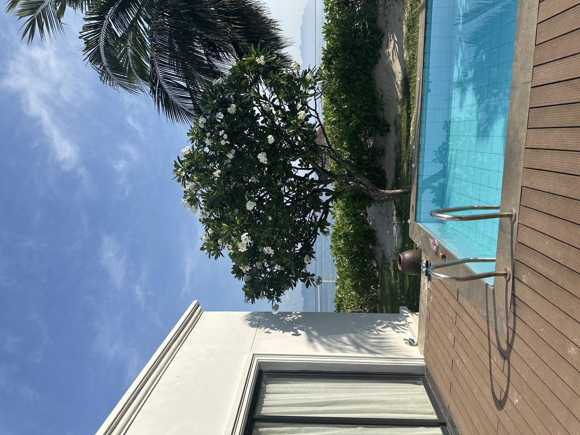 Here's a forensic description of the image:
**Location:** Unknown city, Unknown.
**Scene Description:** An outdoor scene featuring architectural elements, vegetation, and a swimming pool. The image is taken at an oblique angle.
**Objects:**
* A portion of a white building with a window is visible.
* A flowering tree with white blossoms.
* A palm tree.
* Various greenery and shrubbery.
* A rectangular swimming pool with blue tiled interior and metal ladder.
* A dark-colored vase or container near the pool.
* Wooden deck.
* In the distance, there is a body of water and what appears to be a shoreline or distant land.
**Environment:** The sky is partially visible with a light blue color and some scattered clouds. The overall environment appears to be tropical or coastal. The lighting suggests a daytime scene with sunlight present.
**Actions/Interactions:** No clear actions or interactions are depicted.
**People/Subjects:** No people are visible in the image.