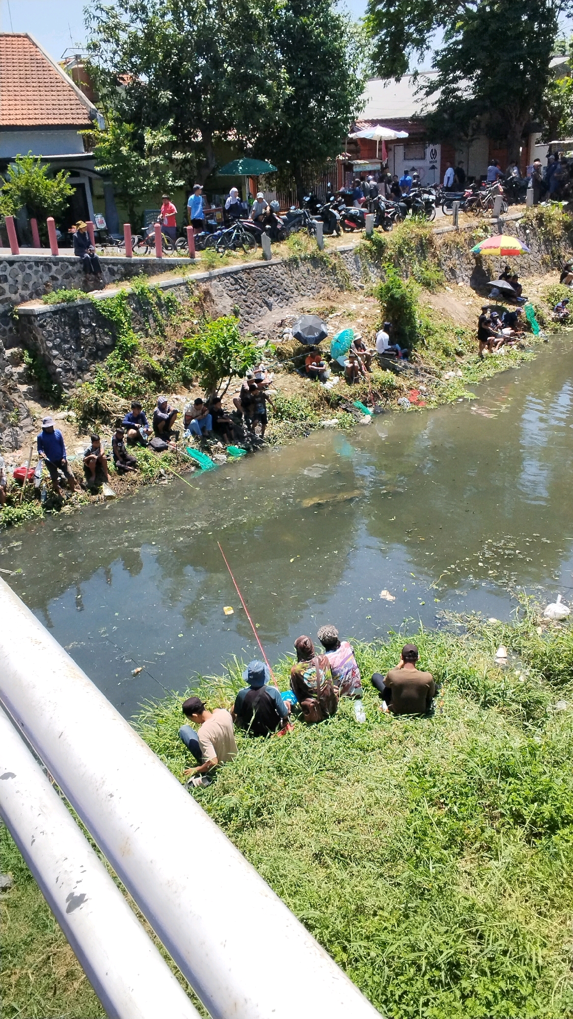 The image depicts a scene along a canal or river in the city of Mojokerto, Indonesia, on a bright, sunny day. On the left bank, a stone embankment is visible, with some greenery and trees growing on top. A red-tiled roof building and a row of shops are situated behind the embankment. A group of people is gathered, some on the embankment, others on the bank of the canal. Some are standing near motorcycles, suggesting a mode of transportation.
The main focus of the image is the canal, which appears to be somewhat polluted with debris floating on the surface. Several individuals are positioned on the grassy bank of the canal, actively fishing. They are using fishing rods, and some have nets. In the foreground, a group of people are seated on the grassy bank, facing the canal, also engaged in fishing. The overall atmosphere suggests a community gathering or recreational activity taking place by the waterway. The presence of umbrellas indicates efforts to shield from the sun. The environment is a mix of urban elements (buildings, motorcycles) and natural elements (trees, grass, canal).