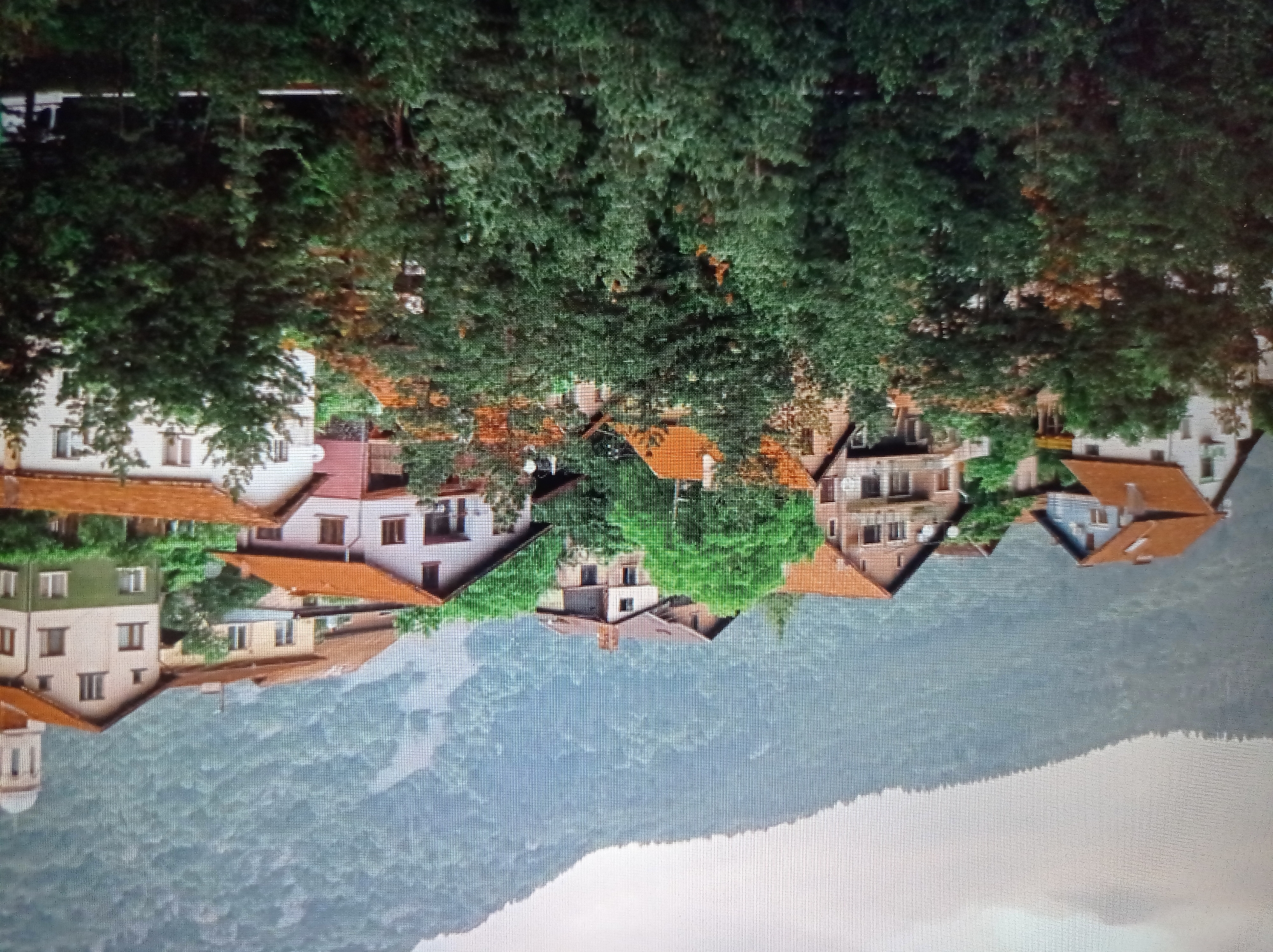 The image depicts a cluster of residential buildings nestled on a verdant hillside. The architecture suggests a European setting, with houses featuring prominent tiled roofs in shades of orange and brown. Several buildings are painted in light colors, with some incorporating darker green elements. Trees, primarily evergreens, are abundant, interspersed between and in front of the houses, creating a sense of a village or a suburban area integrated with nature. The background is dominated by a larger, densely forested mountain that rises majestically behind the houses. The sky is overcast, with a soft, diffused light characteristic of a cloudy day. There are no discernible individuals or specific actions taking place within the scene. The overall impression is one of a peaceful, perhaps somewhat remote, community situated within a natural landscape. However, there is no visual information in the image that would allow for the identification of this location as Mukachevo, Ukraine.