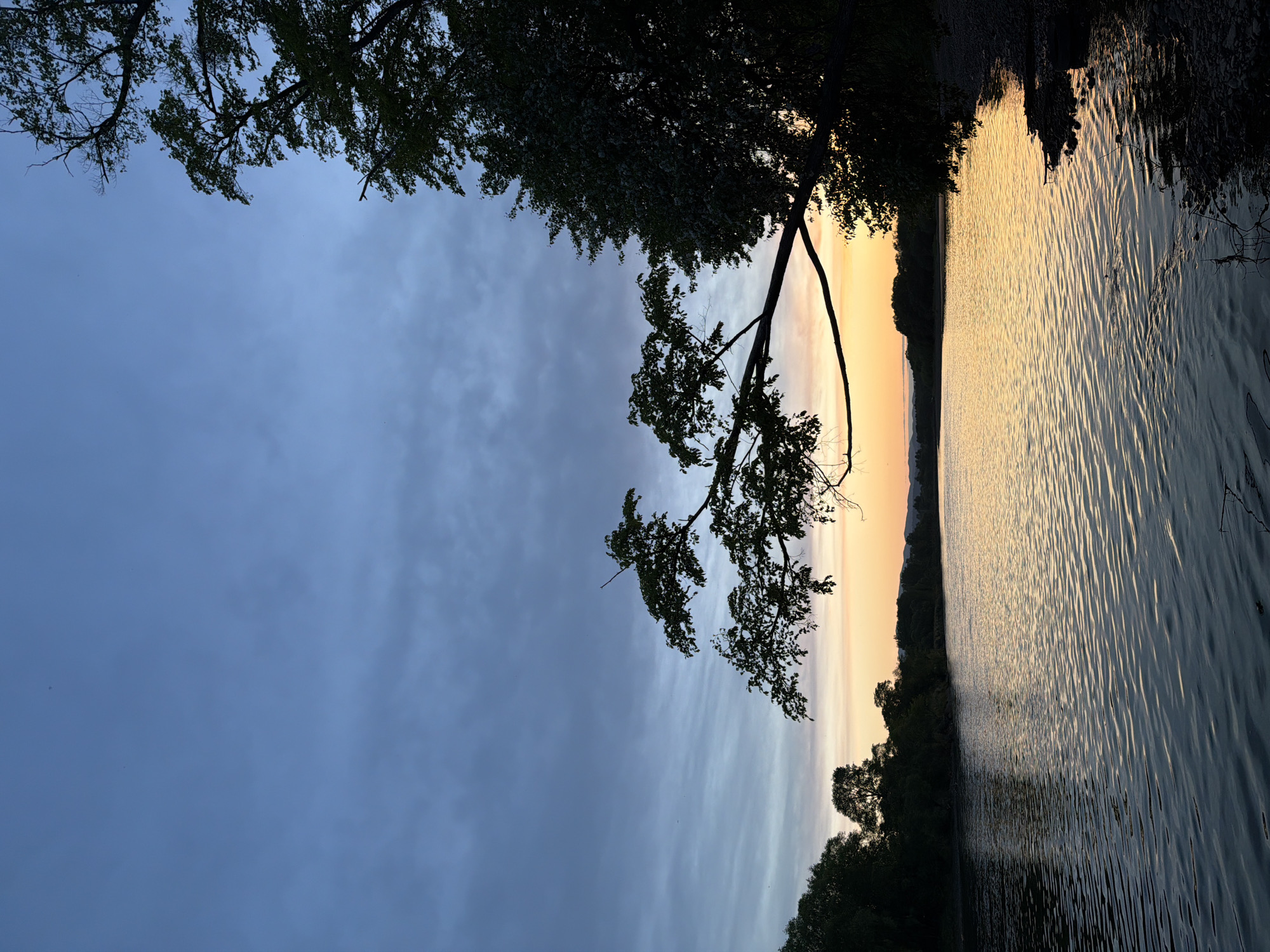 The image depicts a view of the Bira River at sunset in Birobidzhan, Russia. The scene is framed by trees at the top of the image, some of which have branches that hang down toward the water. The river surface reflects the orange and yellow hues of the sunset. The sky above the trees transitions from blue to orange near the horizon. The opposite bank of the river is visible as a dark silhouette of trees and land. There are no people visible in the image.