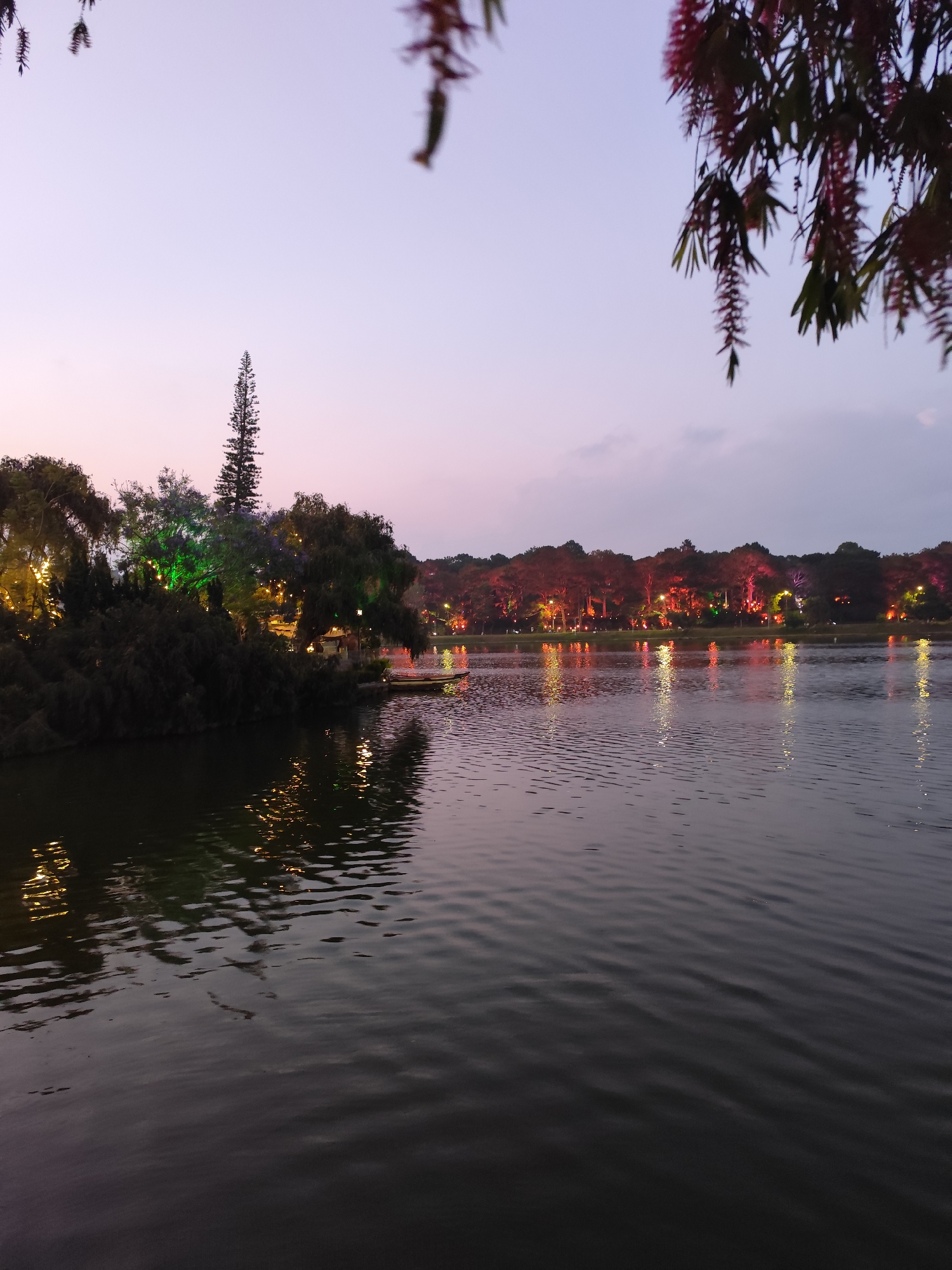 This image captures a serene twilight scene at Xuan Huong Lake in Da Lat, Vietnam. The lake dominates the foreground, its surface reflecting the lights along the shore. Trees line the perimeter of the lake, illuminated with colorful lights, primarily red, orange, yellow, and green. In the distance, more trees are visible. In the upper part of the image, the sky is a gradient of colors, from pink to purple. In the upper corners are leaves from nearby trees. A tall, coniferous tree stands out amongst the other trees. A small dock or platform is visible near the left side of the lake.
