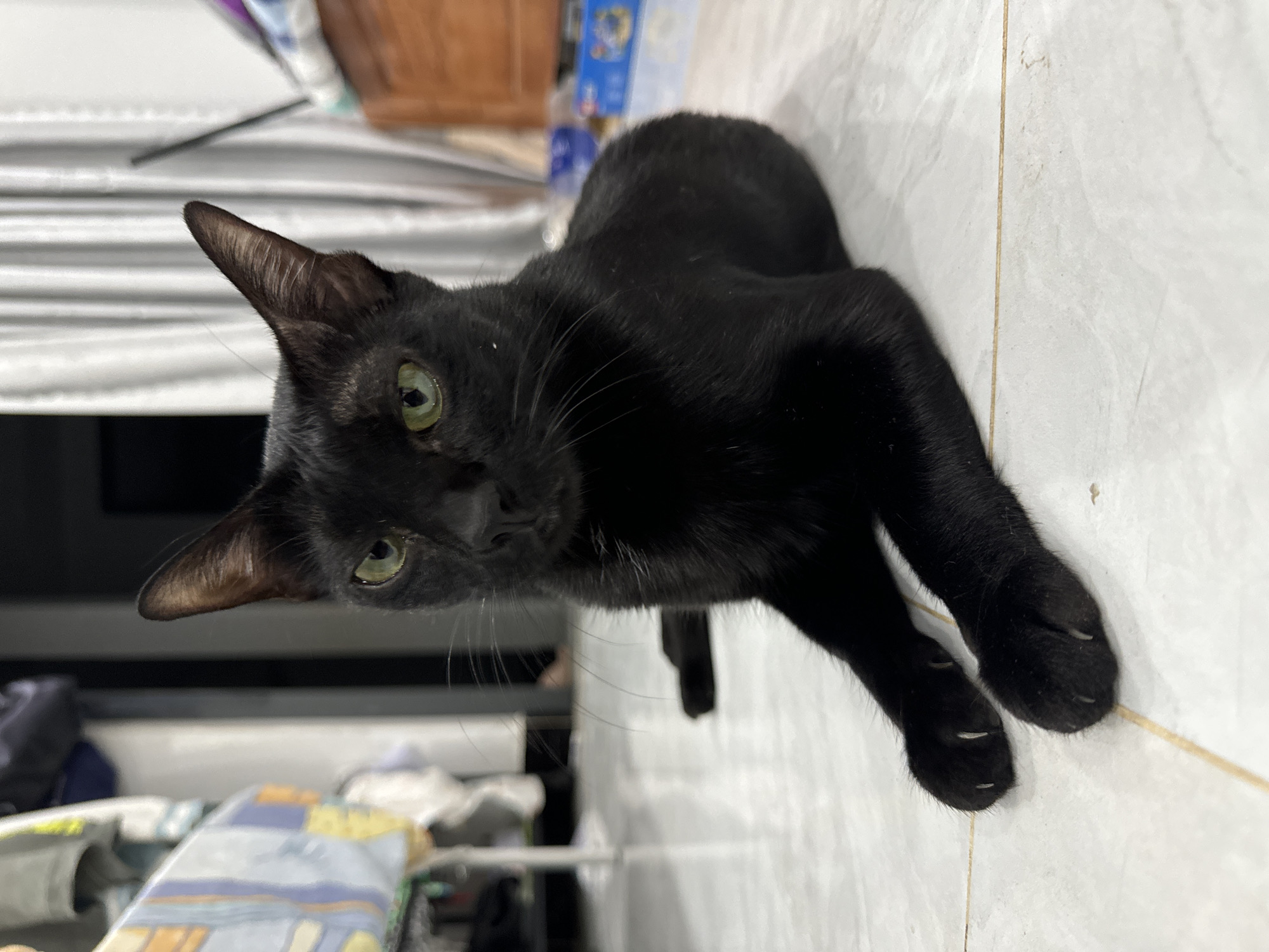 A black cat is lying on a tiled floor. The cat has green eyes, large ears, and extended claws on its front paws. A portion of a table or shelf is visible in the background. The location appears to be indoors. There is no evidence to connect this image to the city of Mũi Né, Vietnam.