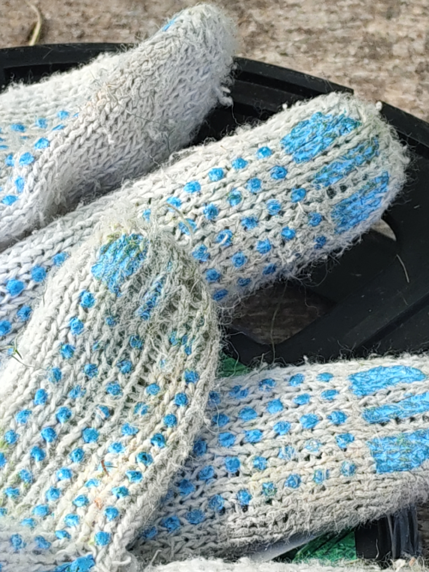 A close-up, overhead shot shows several knitted work gloves with blue dotted palms resting on a black plastic surface outdoors. The gloves are a light gray color and have a textured appearance due to the knit pattern and fuzzy fibers. The blue dots, likely made of a grip-enhancing material, are evenly spaced across the palms and some are also on the fingers. The gloves appear to be slightly worn and dusty, with some small bits of debris, possibly grass or dirt, clinging to them. The background consists of a textured, grayish-brown surface that could be concrete or soil. The lighting suggests it is daytime. There is no visible indication of the location being specifically within Rostov-on-Don, Russia, as the image lacks any recognizable landmarks or context clues.