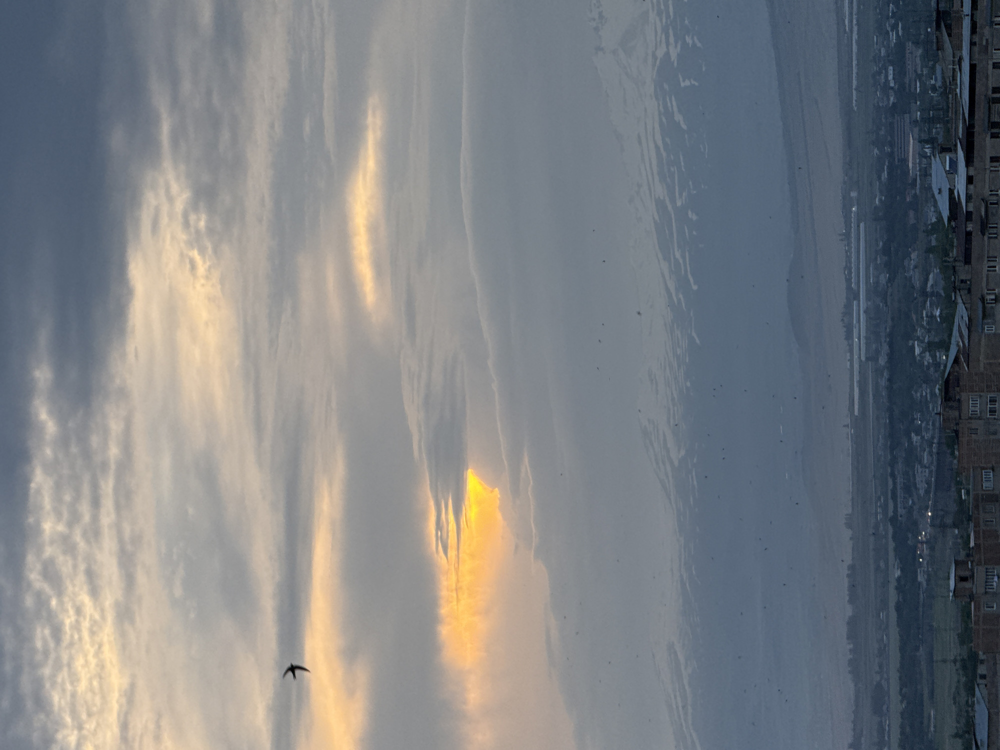A vertical, full shot captures a wide landscape under a cloudy sky with streaks of golden sunlight breaking through. In the foreground, a single bird is silhouetted against the illuminated clouds. The middle ground reveals a hazy, distant landscape with what appears to be a body of water or a plain, dotted with small dark specks that could be birds or other airborne elements. The background is dominated by a cityscape with buildings of varying heights, some appearing to be multi-story residential structures. The overall mood is serene and somewhat atmospheric, with the dramatic sky suggesting either dawn or dusk. The time of day is likely early morning or late evening due to the golden light illuminating the clouds. The weather appears to be partly cloudy, with the sun's rays creating a striking contrast against the darker clouds. The location is identified as Abovyan, Armenia, which aligns with the architectural style and the general landscape. There is no visible text in the image.