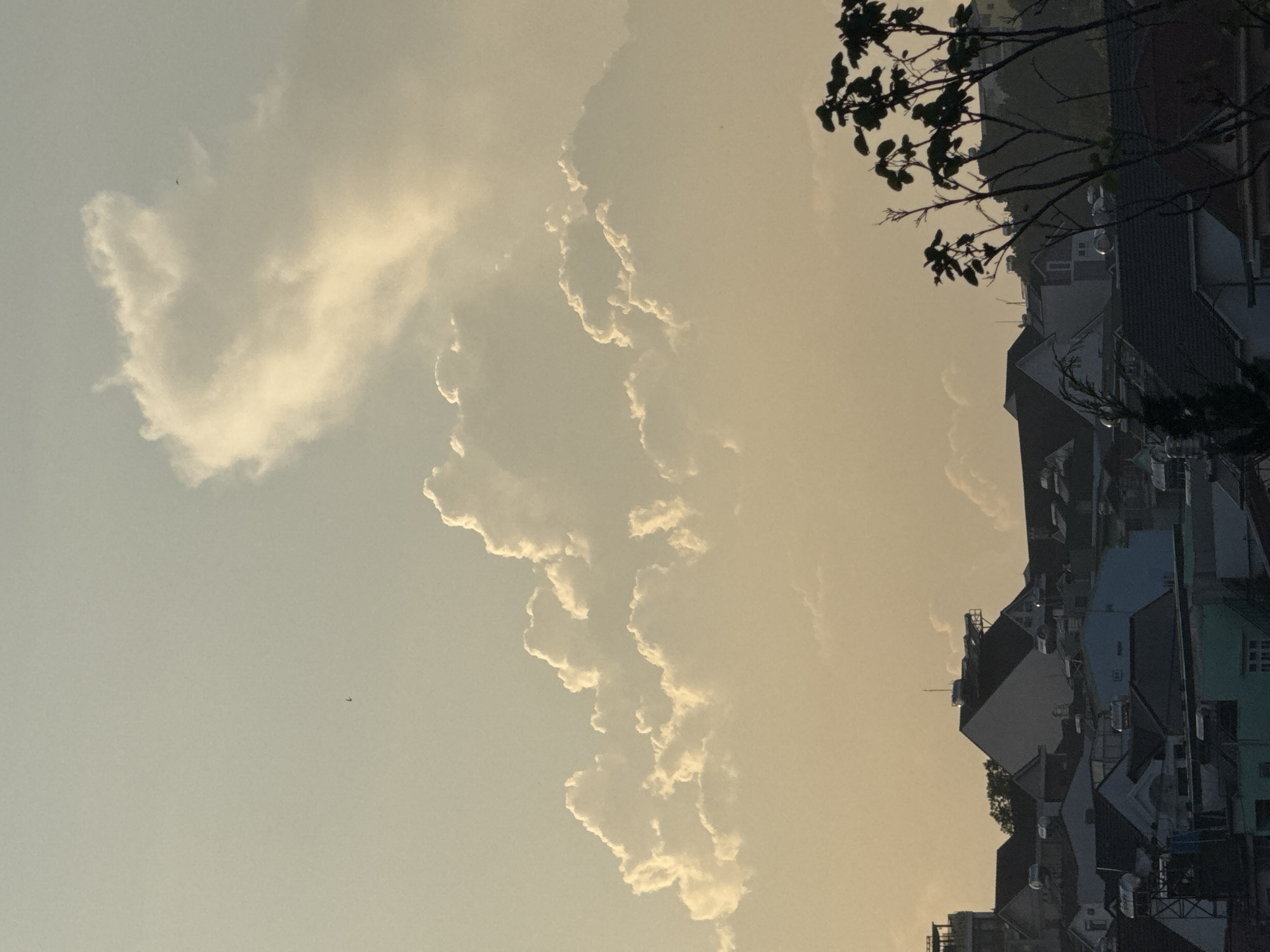 The image depicts a twilight view of the city of Lâm Viên - Đà Lạt, Vietnam, characterized by its distinctive architecture and a dramatic sky. In the foreground, silhouetted trees with sparse foliage extend from the right, their branches reaching upwards against the hazy sky. Below, a dense arrangement of buildings with dark, sloped roofs dominates the mid-ground, interspersed with structures of varying heights and colors, including a prominent white, triangular-roofed building. Several water tanks are visible on the rooftops, a common feature in Vietnamese urban landscapes. In the far left, a tall, tower-like structure with multiple levels is partially visible. The sky above is a canvas of soft, warm tones, transitioning from a pale yellow near the horizon to a lighter hue at the top. Large, voluminous clouds, illuminated by the setting sun, cast a golden glow, creating a striking contrast with the darker cityscape. A small, dark speck, likely a bird or an airplane, is visible in the upper left quadrant of the sky, and another smaller speck can be seen near the large cloud formation in the upper right. The overall impression is one of a serene, late-day urban vista with a focus on the interplay between the natural elements of the sky and the built environment.
