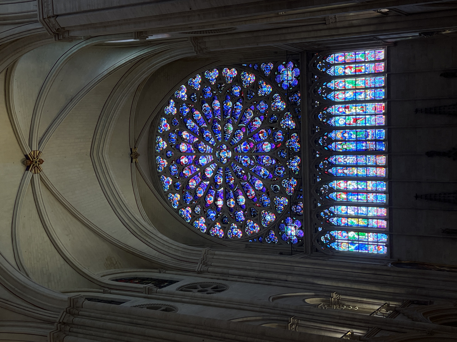 This medium-angle interior shot captures the grandeur of a Gothic cathedral, viewed from a low perspective and slightly rotated counter-clockwise. The dominant feature is a magnificent circular rose window on the left, filled with intricate stained glass patterns primarily in vibrant shades of blue and purple, interspersed with touches of red, green, and yellow. Adjacent to it, on the right, is a series of tall, rectangular stained glass windows, stacked vertically, also featuring diverse scenes and geometric designs in a rich palette of blues, greens, reds, and lighter hues.
Both sets of windows are brilliantly illuminated by an external light source, creating a striking contrast with the more subdued lighting of the interior architecture. The windows are framed by elegant, light-colored stone ribbed vaulting, which forms soaring arches across the ceiling and descends along the wall on the left. Golden decorative elements punctuate the intersections of some of these architectural ribs. Below the main windows, darker stone details, smaller arched openings, and structural ledges are visible, some receding into shadow.
No people or discernible activity are present, emphasizing the architectural and artistic beauty of the space. The clear illumination of the stained glass suggests daytime. The intricate craftsmanship, immense scale, and interplay of light and shadow evoke a profound sense of awe and historical significance, characteristic of grand cathedrals. No text is visible within the image. The scene perfectly reflects the interior of a major Gothic cathedral, aligning with the architectural heritage found in Paris, France.