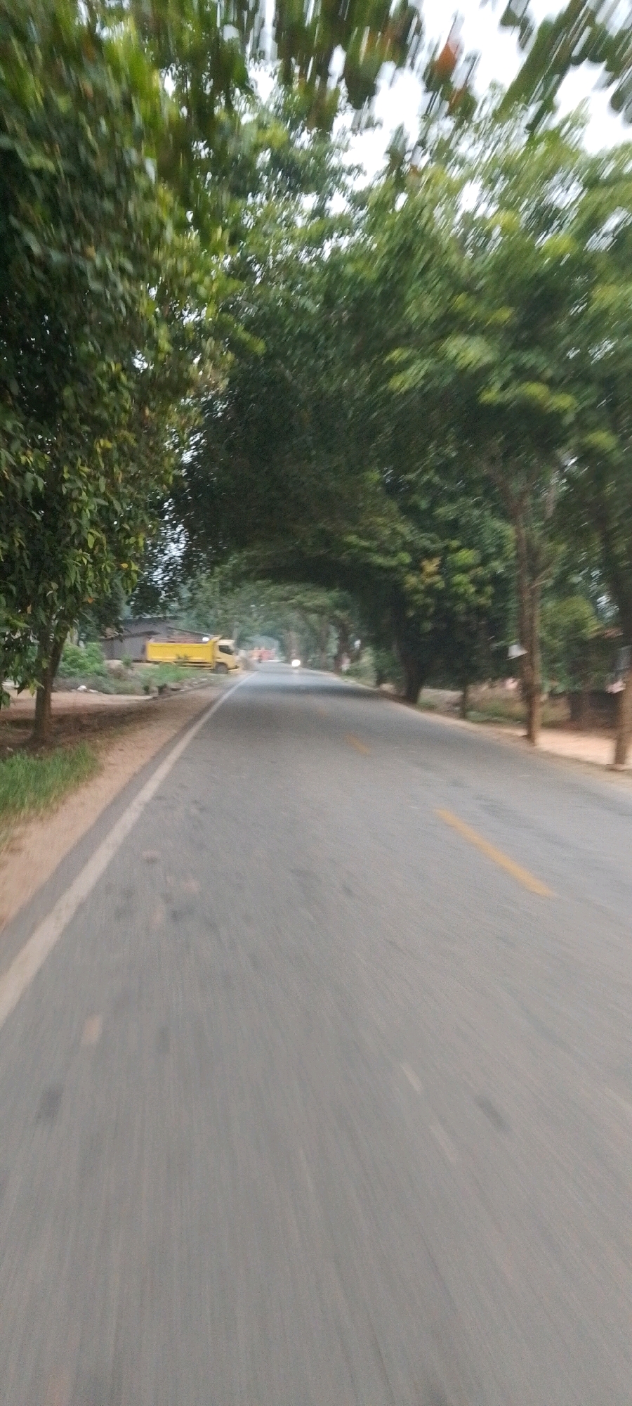 The image depicts a road in Teluk Pulau Hilir, Indonesia, lined with mature trees that create a natural canopy over the asphalt. The perspective is from a moving vehicle, indicated by the motion blur in the foreground and the slight tilt of the scene. On the left side of the road, a yellow truck is parked near a low-rise building. The road itself is paved and has a white line marking the shoulder. Further down the road, other vehicles are visible, along with the continuing tree-lined scenery. The environment appears to be semi-rural or suburban, with a blend of natural elements and human infrastructure. The lighting suggests it is daytime, possibly late afternoon or early morning due to the soft light.
