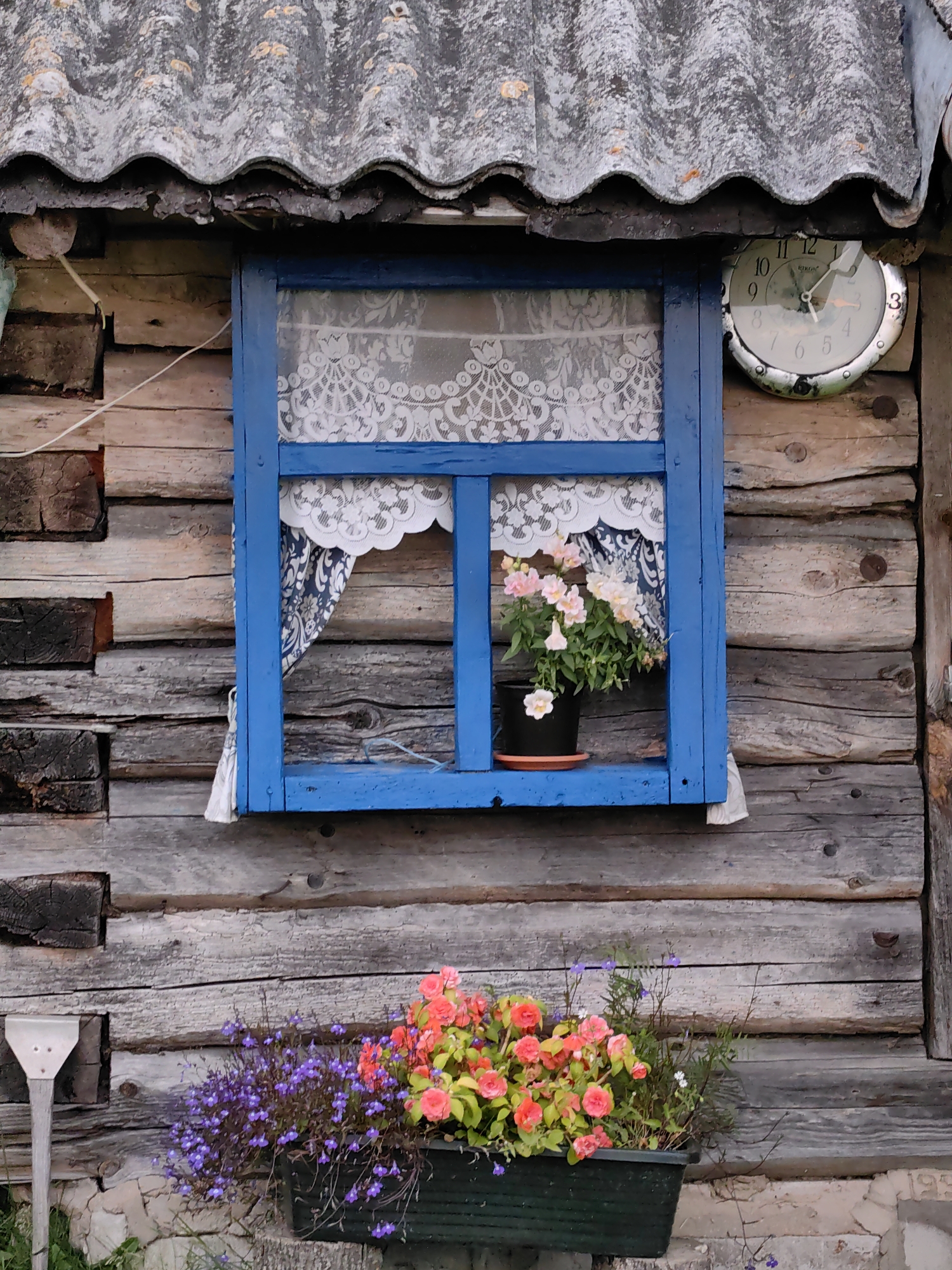 The image shows a weathered, rustic wooden building with a blue-framed window. The window is adorned with white lace curtains and a potted plant with pale pink flowers sits on the windowsill inside. Outside, below the window, a planter box overflows with vibrant pink and orange flowers, interspersed with small purple blossoms. A clock is affixed to the wall to the right of the window. The building's roof is made of corrugated material. The overall scene evokes a sense of rural simplicity. The location is Дзямідавіцкі сельскі Савет, Belarus.