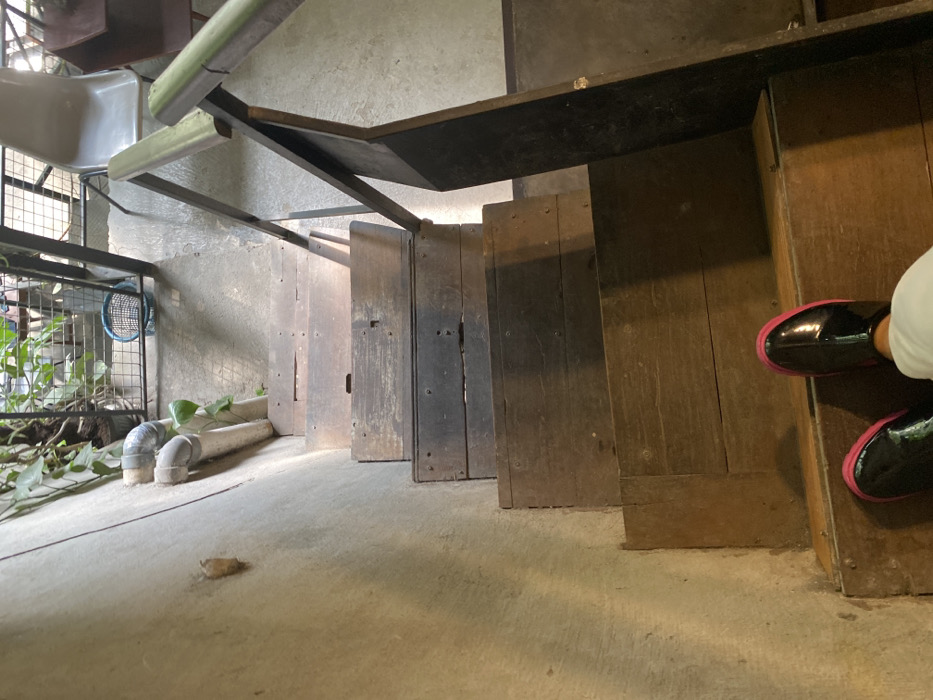 The image shows a person standing at the bottom of a wooden staircase in a building in Kecamatan Piyungan, Indonesia, at the coordinates -7.827 latitude and 110.482 longitude. The staircase is made of weathered wood with visible wear and tear. The person is wearing black shoes with pink accents, and the top of their white pants is visible. The staircase is positioned against a concrete wall with a portion of a metal railing visible to the right. There are also metal pipes and a potted plant visible to the left side of the staircase. The background shows a metal gate, suggesting that the staircase leads to a higher floor or level. The overall scene is a simple, everyday image of a person standing on a staircase inside a building.