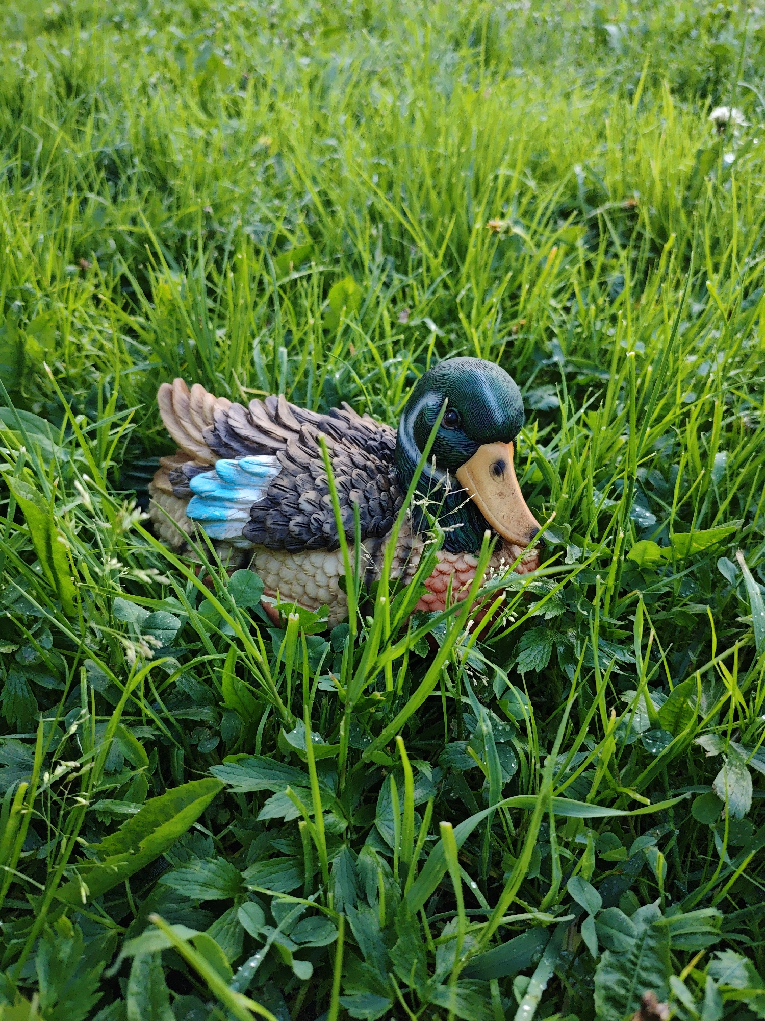 A decorative mallard duck figure sits amongst lush green grass and clover. The duck has a green head, brown wings with blue accents, and a yellow beak. The location is unknown.
