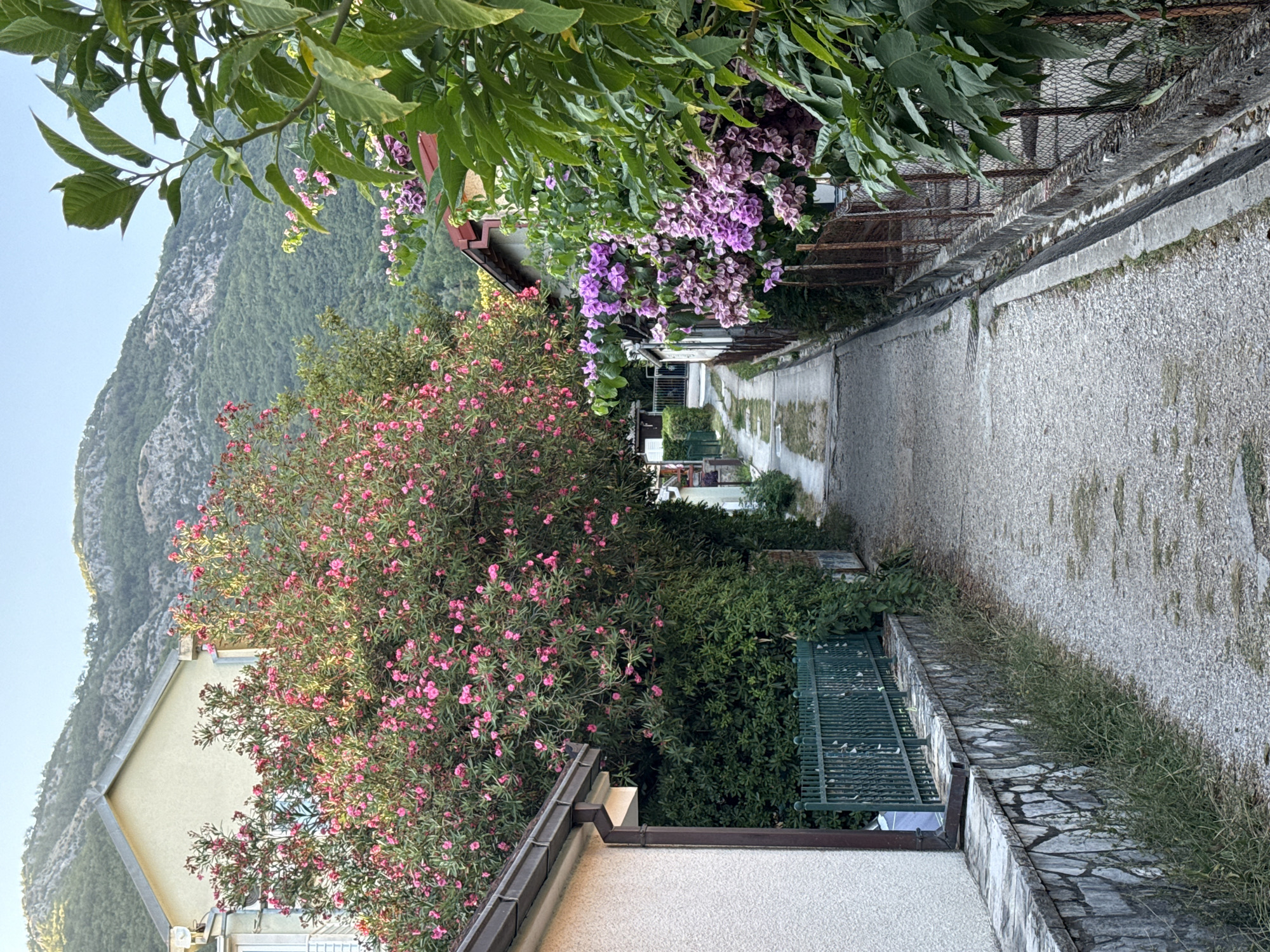 The image depicts a narrow, gravel-paved alleyway in Đenovići, Montenegro, flanked by residential buildings and lush vegetation. On the left, a light-colored building with a grey tiled roof is visible, partially obscured by a large, dense bush with abundant pink flowers. A green metal fence runs along the edge of the property, supported by a stone retaining wall.
To the right of the alley, another residential building with a red tiled roof is present. This building is bordered by a fence made of rusted metal posts and wire mesh. Overhanging this fence is a vibrant display of purple bougainvillea flowers, contrasting with the dark green foliage of a large plant in the foreground.
The alleyway itself appears to be a pathway for vehicles or pedestrians, with visible tire tracks on the gravel surface. A concrete drainage channel runs along the right side of the alley, adjacent to the fence. In the background, the alley continues and curves slightly, with more buildings and greenery visible. Beyond the buildings, a steep, tree-covered mountain slope rises under a clear, pale blue sky. The overall scene suggests a tranquil, residential area in a Mediterranean climate. There are no people or animals visible in the image.