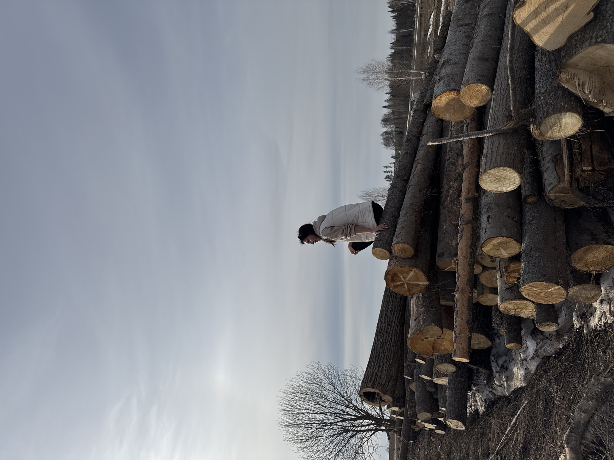 A person stands on a stack of logs in Van'ki, Russia. The stack of logs occupies the right side of the image, with varying sizes of logs visible. The person is wearing a light-colored jacket and dark pants. The background consists of a light-colored sky with some clouds, and bare trees are visible further in the distance. The ground around the log stack shows some snow cover.