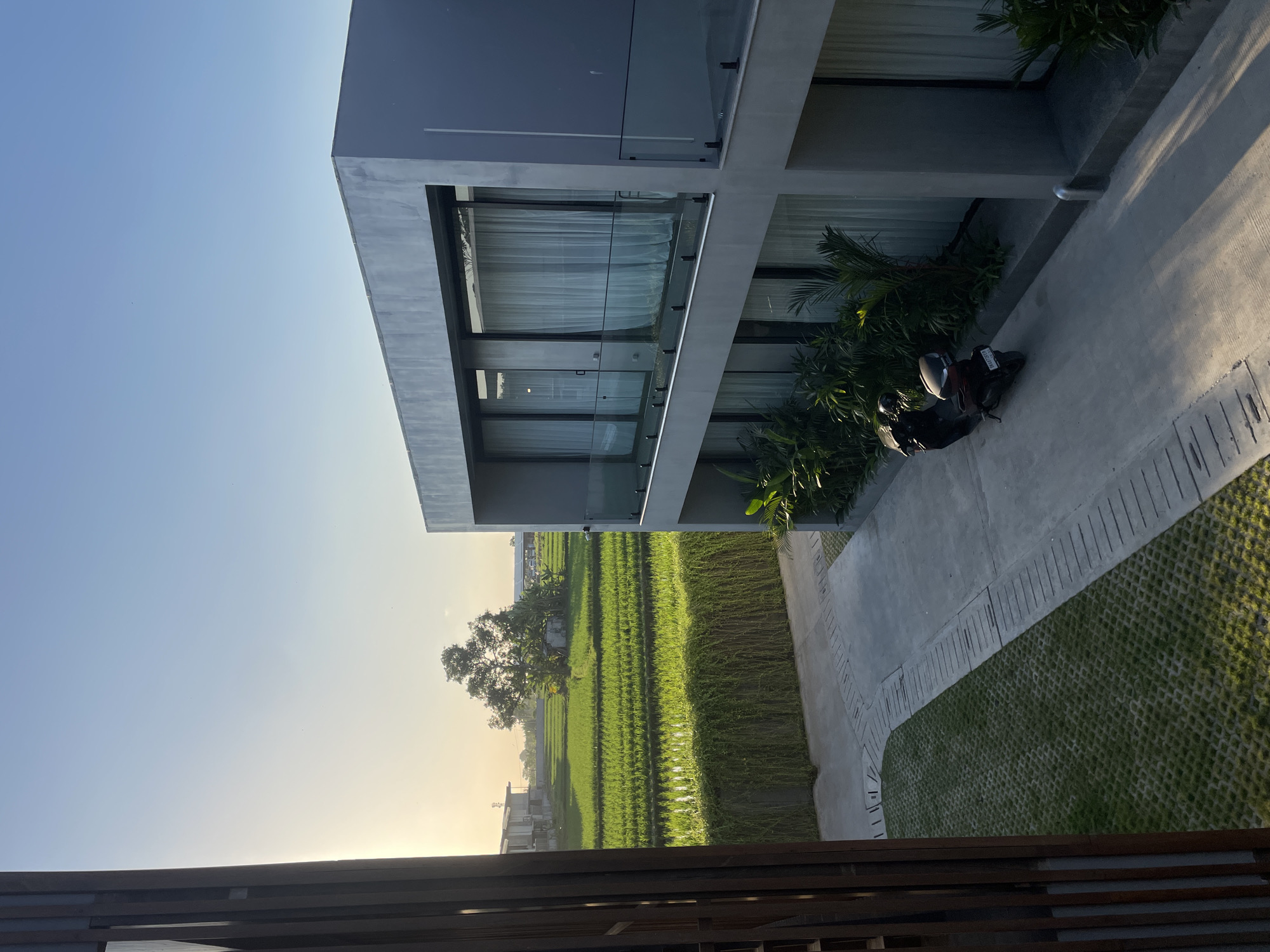 The image depicts a modern, multi-story building with a gray concrete exterior, featuring large windows with white curtains. A balcony with a glass railing overlooks the courtyard below, where a black scooter is parked. In front of the building, a pathway is bordered by green grass embedded in a permeable paving system and a line of lush, trailing greenery. Beyond this, a vibrant green rice paddy stretches towards a distant tree and some buildings under a clear, bright sky. The scene suggests an early morning or late afternoon setting due to the soft, warm sunlight casting long shadows. The location is identified as the city of Kediri, Indonesia.