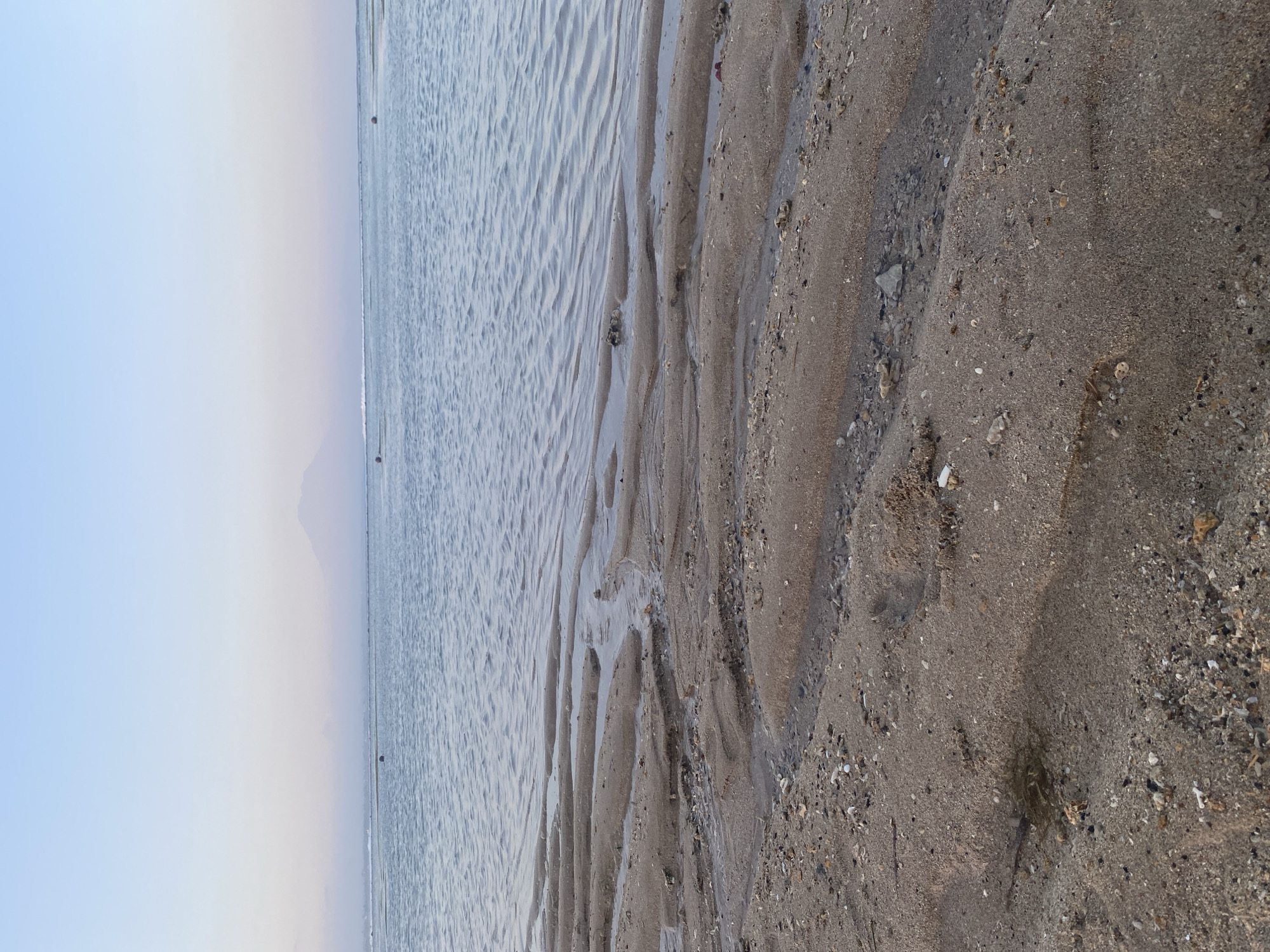 The image depicts a serene beach scene at what appears to be low tide, with rippled sand formations and shallow pools of water. In the distance, the calm sea stretches to the horizon, meeting a pale, gradient sky that transitions from a light blue to a soft pinkish hue. A faint silhouette of a mountain is visible against the horizon, likely Mount Agung, a prominent volcano in Bali. The foreground is dominated by the textured sand, dotted with small shells and pebbles, showcasing intricate patterns created by the receding water. There are a few buoys visible in the sea, suggesting a designated area for swimming or mooring. The overall atmosphere is tranquil and peaceful, characteristic of a quiet morning or evening on a Balinese coastline, potentially within or near Denpasar, Indonesia, given the geographical context. No people are visible in the frame.