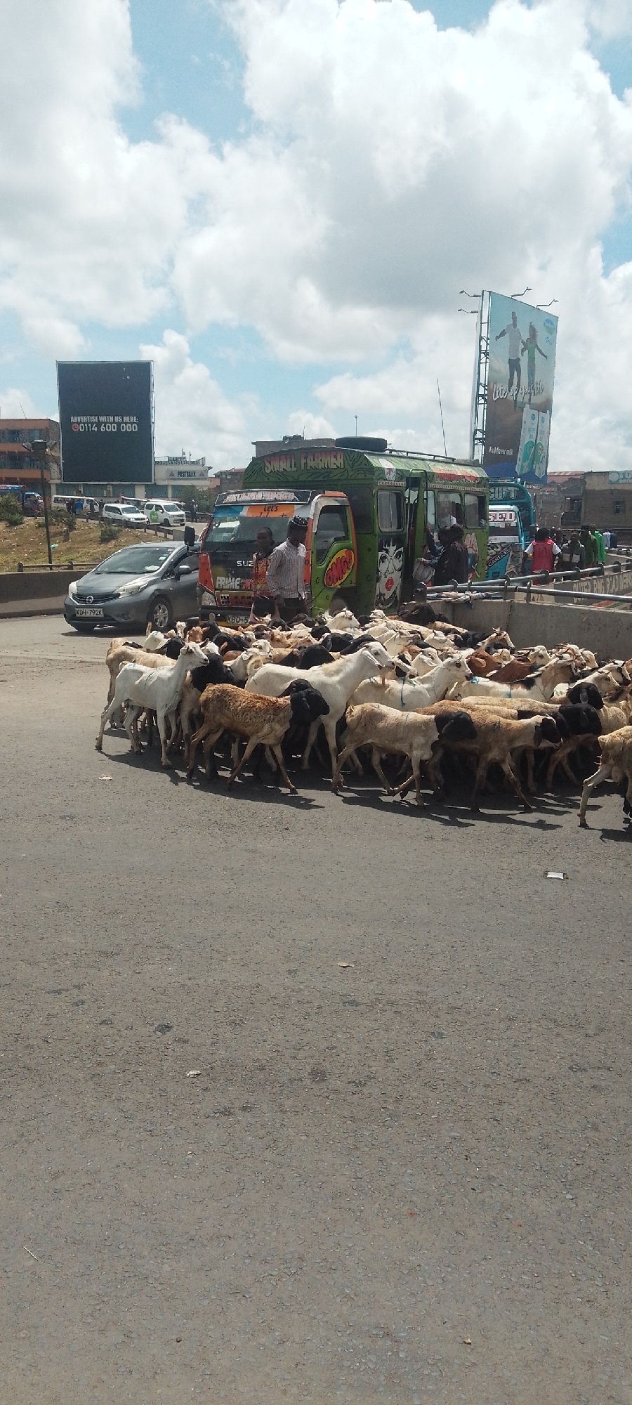 The image depicts a scene in what appears to be the city of Nairobi, Kenya, where a large herd of goats is crossing a paved road at an intersection. The goats are a mix of colors, including white, brown, and black. A silver Nissan car is waiting at the intersection, and a "matatu" or Kenyan minibus is parked on the other side of the goats. The matatu is colorfully decorated and has the words "SMALL FARMER" and "SIFT" written on it. People can be seen inside and around the matatu. Two billboards are visible in the background: one reads "ADVERTISE WITH US HERE: 0114 600 000", and the other has an image of a couple and the words "Let's Up Your Life". The sky is partly cloudy. The road is asphalt and appears to be moderately busy. The vehicle registration number KDH-792K is visible on the silver Nissan.
