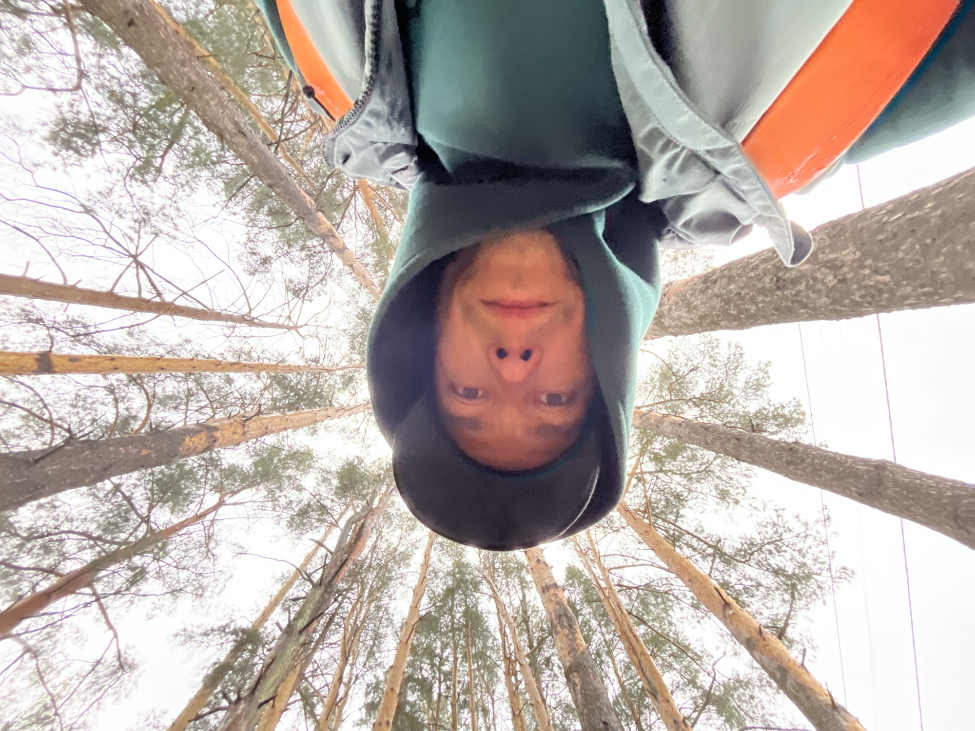 A man wearing a dark green hoodie and a light gray jacket with an orange strap is photographed from a low angle, upside down. The man's face is visible within the hood. Behind him, a forest of tall, slender trees stretches into the sky. The sky is overcast and appears to be light gray. The photo was taken in Chaikovsky, Russia.