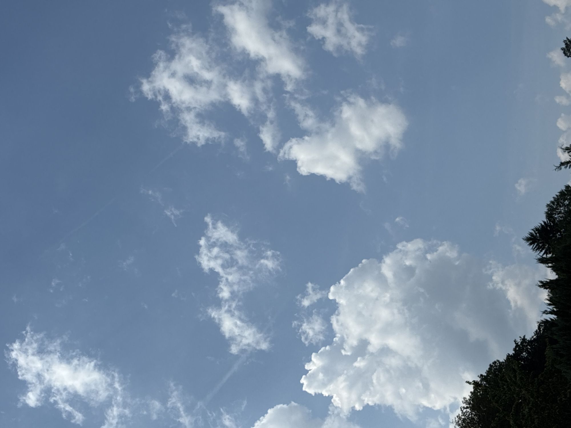 The image shows a partly cloudy sky over the city of Bad Hersfeld, Germany. The sky is a light blue color with several white clouds scattered throughout. The clouds vary in size and shape, with some appearing fluffy and cumulus-like, while others are more wispy and cirrus-like. In the lower portion of the image, a line of dark green trees is visible, suggesting the presence of a park or forest. The overall scene is tranquil and natural, indicative of a pleasant day.