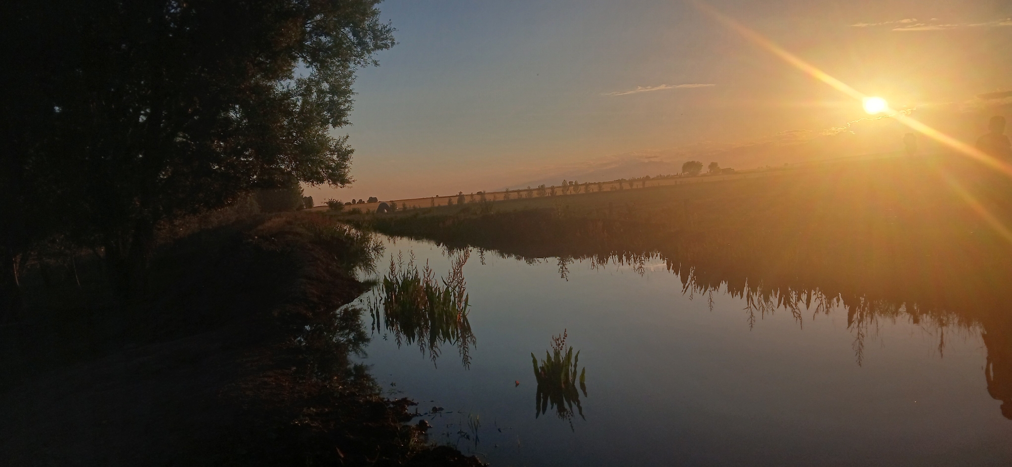 The image depicts a serene natural scene at sunset, likely in Mihaylovka, Kyrgyzstan. The sun, a bright orb with prominent lens flare, is setting on the right side of the frame, casting a warm, golden glow across the sky and landscape. The sky transitions from a soft blue at the top to a warm orange and yellow near the horizon.
The foreground features a body of water, possibly a canal or a slow-moving river, with its surface reflecting the sky, the sun's rays, and the surrounding vegetation. Several aquatic plants with tall, slender stalks are visible in the water, adding texture and detail to the reflection. On the left side of the frame, a dark, silhouetted treeline and embankment create a strong contrast with the illuminated background. The trees are dense, with their leaves appearing dark and indistinct.
In the midground, a gently sloping hillside is visible, lined with a row of trees and what appears to be a fence or a low wall. The fields on the hillside are bathed in the warm light of the setting sun. There are faint silhouettes of what could be structures or vehicles in the far distance on the right side of the hill. On the extreme right edge of the image, a faint silhouette of a person is visible, suggesting their presence in the scene, observing the sunset. The overall mood is peaceful and tranquil, characteristic of a quiet evening in a rural or natural setting. The time of day is clearly sunset due to the position and intensity of the sun and the warm hues in the sky. There is no visible text in the image.
