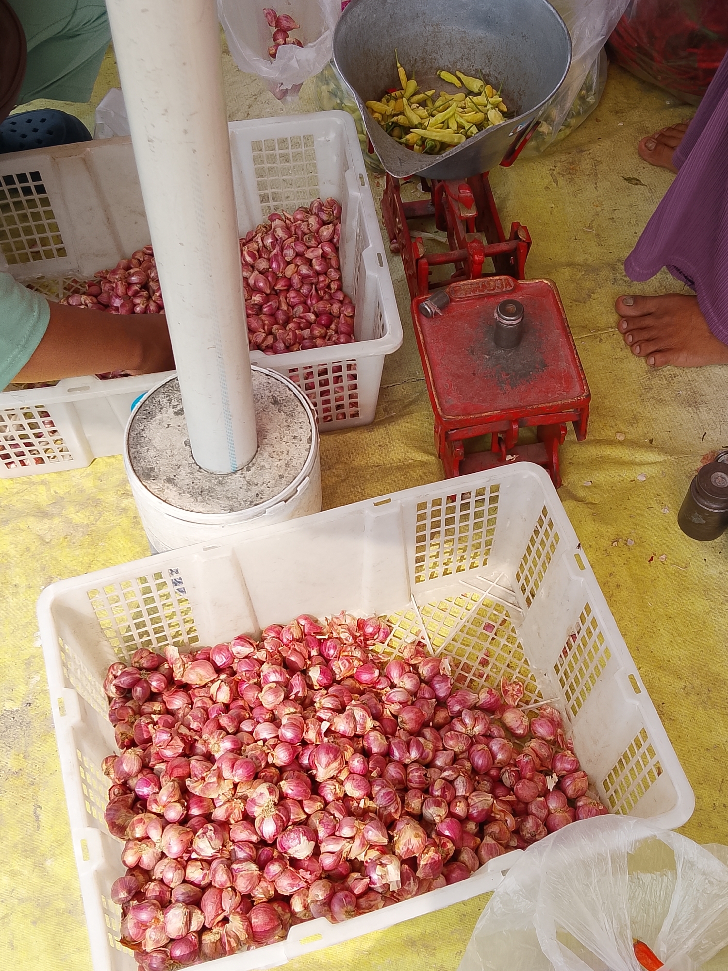 The image depicts a market stall in Batokan, Indonesia, where a vendor is selling shallots and chilies. In the foreground, a white plastic crate is overflowing with shallots. To the right, a clear plastic bag holds a few orange chilies. Behind the crate, a red vintage scale sits on a yellow tarp, with a metal scoop containing green chilies. A large white pipe stands vertically behind the scale, and another white crate filled with shallots is visible in the background, partially obscured by the pipe. The feet of two individuals are visible in the image: one wearing dark blue slippers, and another wearing a purple garment. The overall scene suggests a typical bustling market environment focused on fresh produce.
