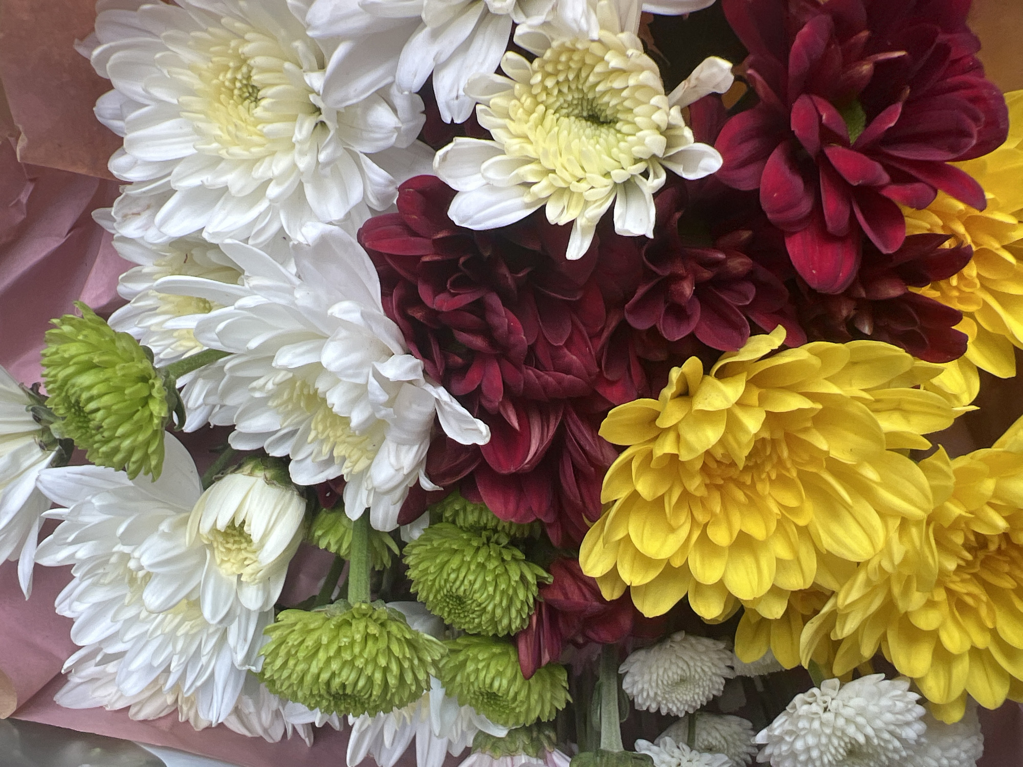 This is a close-up, overhead photograph of a bouquet of chrysanthemums. The bouquet is predominantly composed of white, yellow, deep red, and green chrysanthemums. The white flowers have delicate, layered petals and yellow centers. The yellow flowers are large and vibrant, with numerous densely packed petals. The deep red flowers have a velvety texture and a tightly coiled petal structure. Several small, bright green chrysanthemum buds are interspersed among the other flowers. The bouquet is wrapped in a textured, pale pink paper. There are no people or buildings visible in the image. The image does not provide any information about the location of this bouquet within the city of Hadera, Israel.