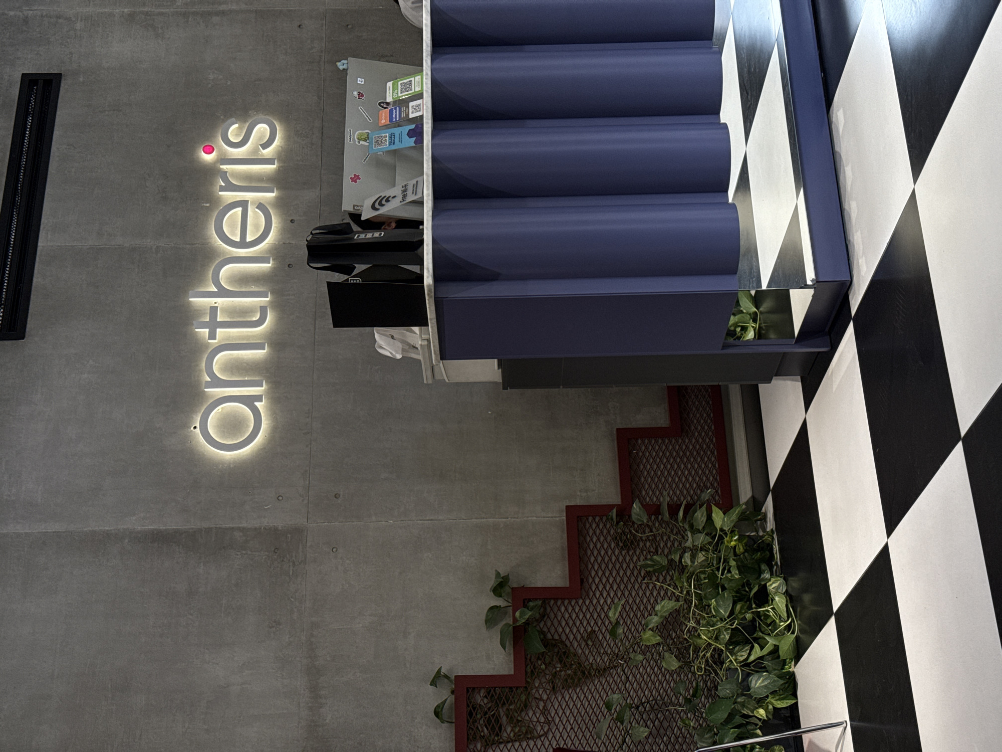 The image displays a modern, geometrically-designed indoor space, likely a commercial establishment or office in Yerevan, Armenia. The scene is dominated by a textured concrete wall on the left, featuring a large, glowing sign that spells "antheris" in sans-serif white letters, with a red dot above the 'i'.
Below the "antheris" sign, a dark blue or grey staircase descends towards the bottom right of the frame, showing at least four steps. Adjacent to the staircase, the floor is covered in a striking black and white checkered pattern, arranged diagonally, which extends across the right side of the image.
Beneath the stairs and to the right of the illuminated sign, a small counter or desk is visible. It holds a laptop, a black printer or scanner, and several small items. The laptop has various stickers, including a GitHub logo. A white card on the desk clearly reads "Free Wi-Fi". Other visible text includes several QR codes on stickers, one of which mentions "Open Wallet" and another "Idram," suggesting payment or service options.
Further down on the left side, a dark red zig-zagging mesh structure is integrated into the wall or floor, serving as a planter for vibrant green foliage that trails across it. A black rectangular ventilation grate is also visible on the concrete wall.
The space is devoid of people, suggesting a quiet moment. The combination of industrial concrete, modern lighting, and contrasting checkered floor creates a contemporary and welcoming atmosphere, typical of a stylish cafe, co-working space, or business reception area. The artificial lighting indicates an indoor setting, and the time of day is not discernible.