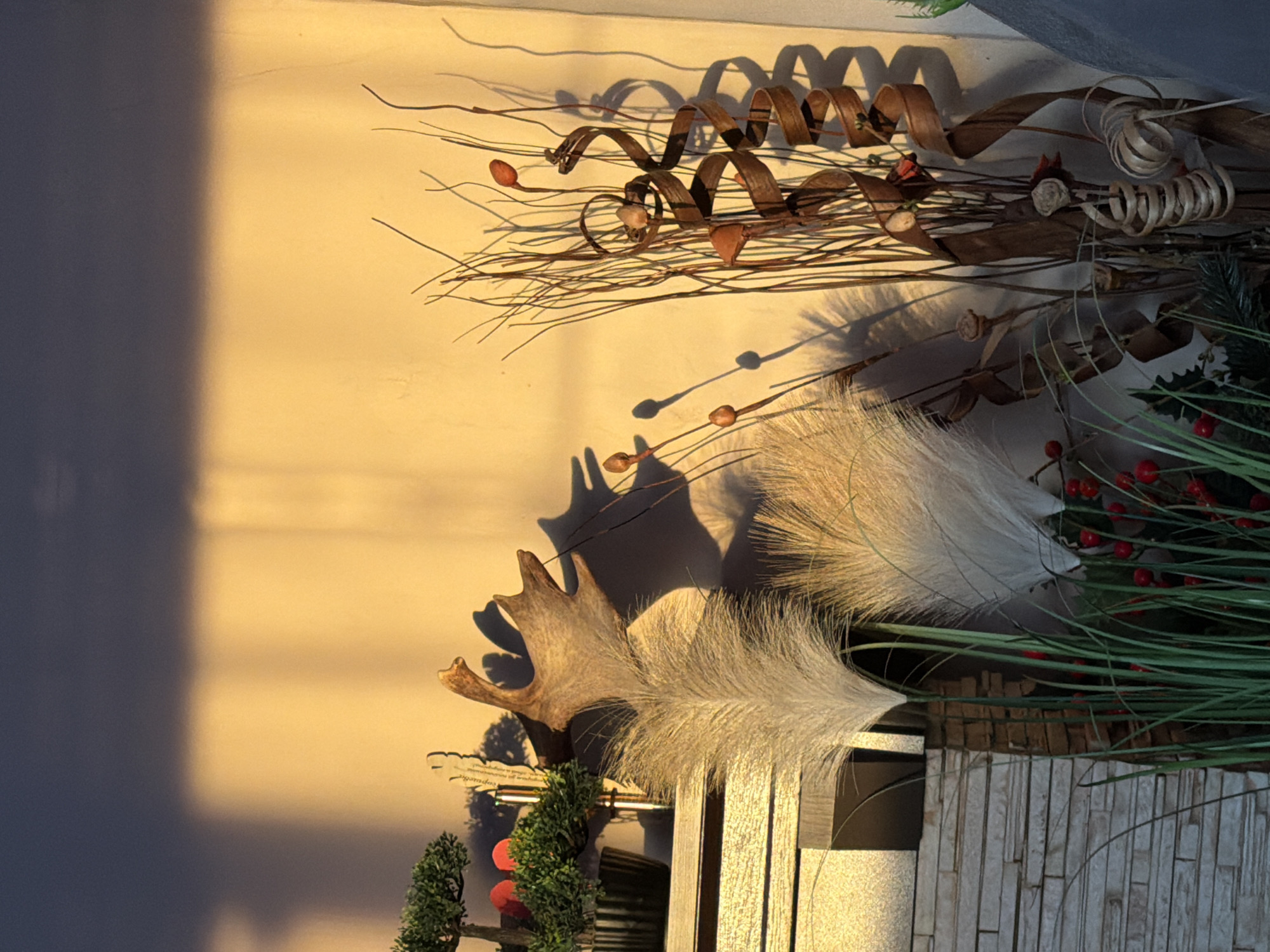 The image shows a still life arrangement against a wall, partially illuminated by sunlight creating strong shadows. The arrangement includes decorative elements like dried branches, curled wooden pieces, white fluffy plumes, artificial greenery with red berries, and an antler-like object. These items are placed in a container with a textured surface resembling stone or wood panels. The setting appears to be indoors. The location in the city of Unknown, Unknown cannot be determined from the image.