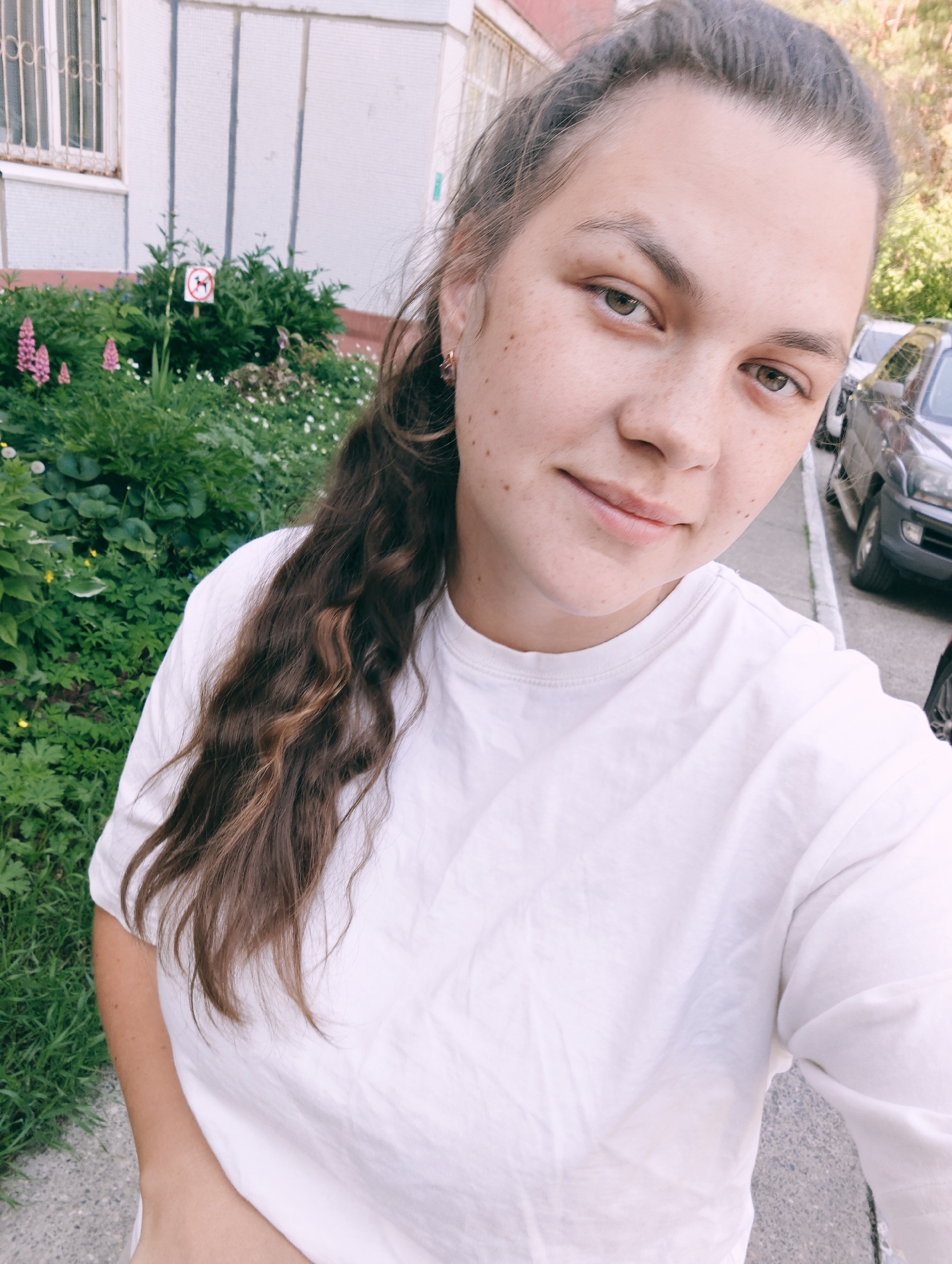 A young Caucasian woman with long, wavy brown hair and fair skin with freckles is pictured from the chest up, taking a selfie outdoors. She is wearing a plain white t-shirt. She is looking towards the camera with a slight smile. Her hair is pulled back in a ponytail, with a few strands falling loose around her face.
In the background, to the left, is the side of a light-colored building with a white window grille. In front of the building, there is a bed of green plants, including some with pink flowers. A small sign with a red circle and a dog silhouette inside is visible within the greenery. To the right of the woman, a gray car is parked on an asphalt surface. The overall setting appears to be an urban residential area, possibly in Chaikovsky, Russia, given the architecture and landscaping. The lighting suggests it is daytime.