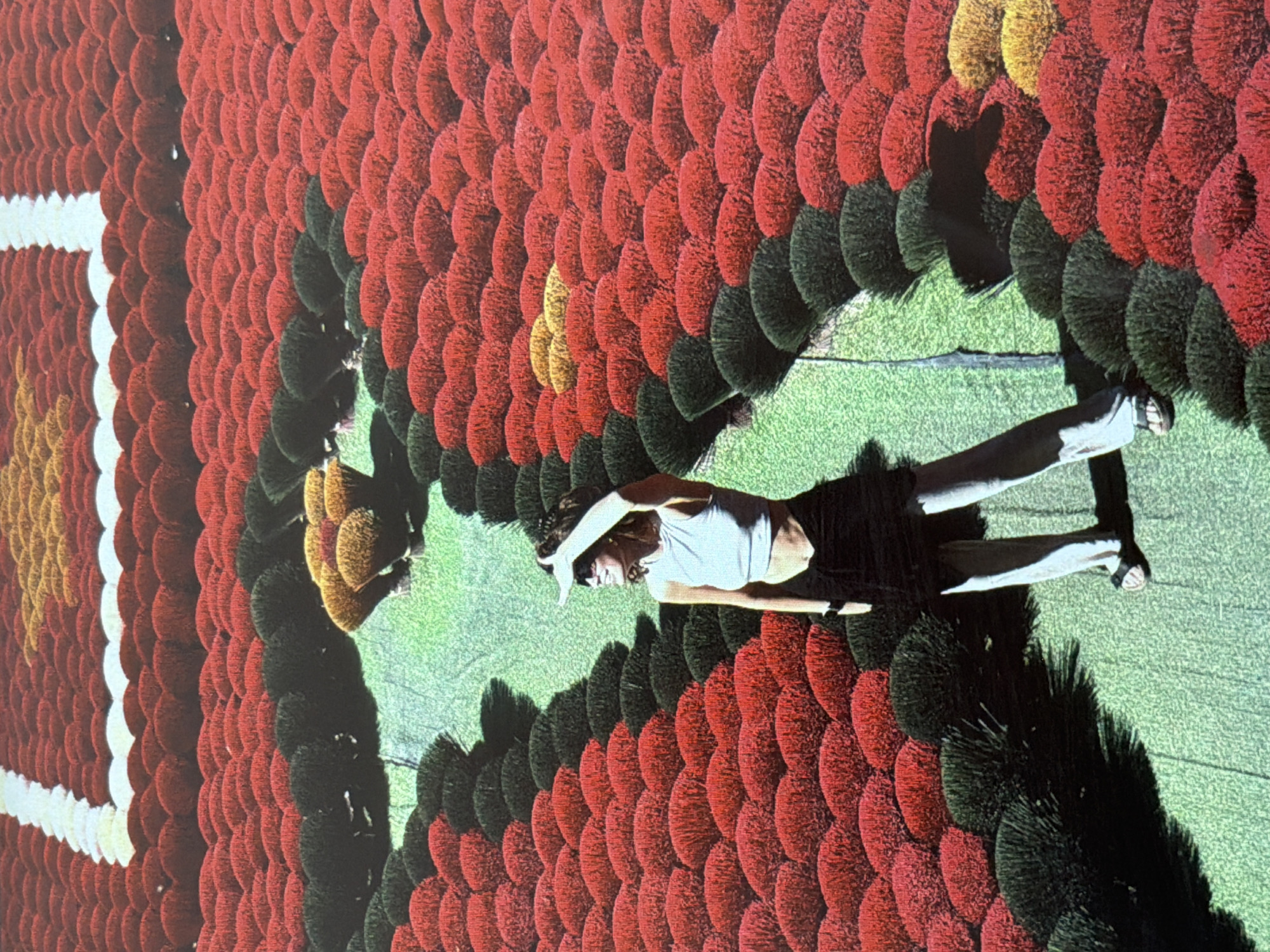 A woman lies on a large, intricate flower carpet that resembles a butterfly wing. The wings are predominantly red with sections of yellow, green, and black. The woman is wearing a light-colored top and a dark skirt or shorts. She is covering her eyes with her hand. The background is green, suggesting grass or a similar ground cover. The location is likely in Đà Nẵng, Vietnam, given the nature of the flower carpet, which is a known element of the city's attractions.