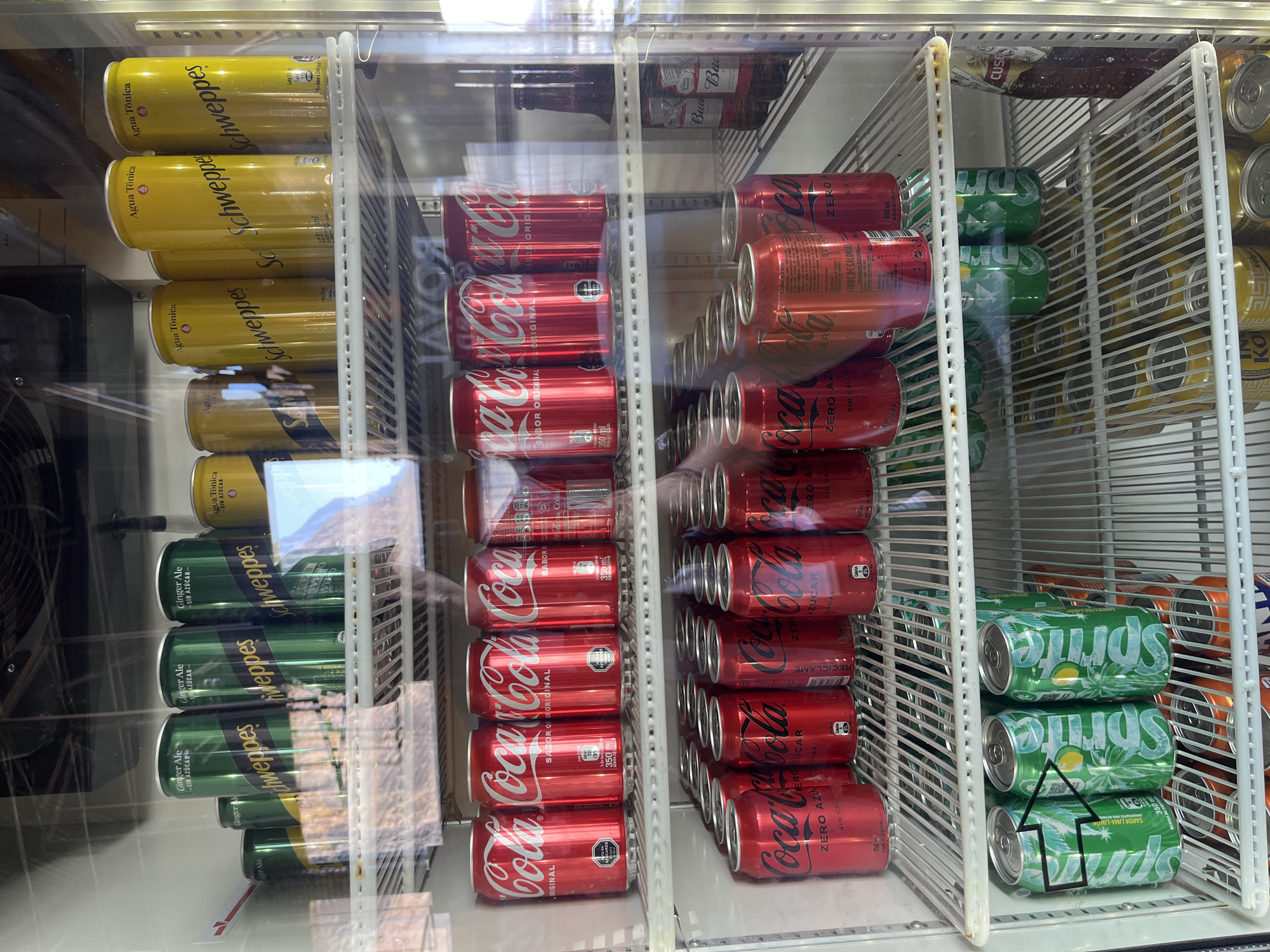 The image shows the inside of a refrigerator likely located in a commercial establishment, stocked with a variety of soft drink cans.
On the left are several rows of Schweppes beverages: a row of yellow "Agua Tonica" (tonic water) cans and a row of green "Ginger Ale" cans, specified as "Sin Azúcar" (sugar-free).
The center displays rows of red Coca-Cola cans. The first row is labeled "Sabor Original" (original flavor), and the second row is labeled "Zero Azucar" (zero sugar).
On the right are rows of Coca-Cola Zero Azucar, and rows of Sprite, specifically "Sabor Lima-Limon" (lime-lemon flavor). The drinks are neatly arranged in rows, presumably for sale. The image has reflections from the glass door of the refrigerator. The presence of Spanish labels suggests that the location is in a Spanish-speaking country. Given the prompt, the location is in Arica, Chile.