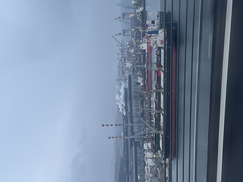 The image depicts an industrial port scene in Dilovası, Turkey, under an overcast, hazy sky. In the immediate foreground, multiple dark horizontal lines, consistent with railings or barriers, are visible above a dark, horizontal road surface, indicating an elevated viewing position.
The midground features calm, dark water where several cargo vessels are present. A prominent ship in the foreground displays a dark hull (black and red-brown) with lighter deck areas, multiple cargo hatches, and onboard cranes. Behind this vessel, other ships, including a green-hulled ship and a red-hulled ship, are visible, either docked or anchored.
The background is dominated by an extensive industrial complex. Numerous gantry cranes and other port cranes line the waterfront. Two tall, red and white striped industrial chimneys are prominent, with visible plumes of white smoke or steam rising from industrial facilities located behind them. Large industrial buildings with metallic facades and a cluster of white cylindrical storage tanks are also discernible. Distant hills are partially obscured by atmospheric haze in the far background. No individuals are visibly present.