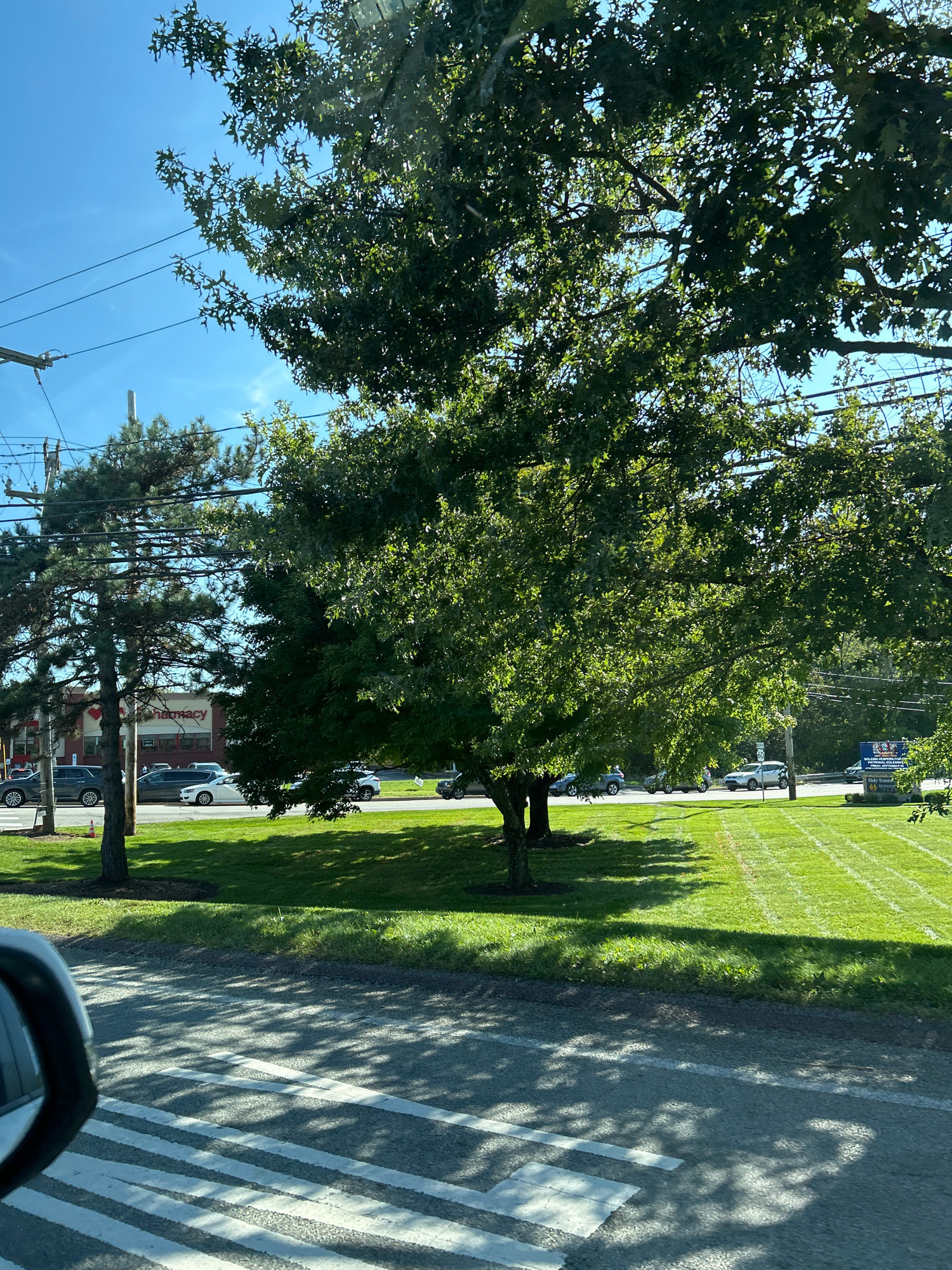 This image depicts a street view in Robinson Township, United States of America. In the foreground, a portion of a car's side mirror and part of a car's body are visible on the left, along with a crosswalk on the asphalt road. The road is lined with a grassy area and mature trees. On the right side of the road, a well-maintained lawn is visible, with a sign that reads "Holy Trinity" with a logo. Beyond the lawn, several cars are parked and driving. In the background, there is a building with "pharmacy" visible in red lettering and a heart logo. Utility poles and power lines are present above the trees. The sky is clear and blue. The scene appears to be captured during daylight hours.
