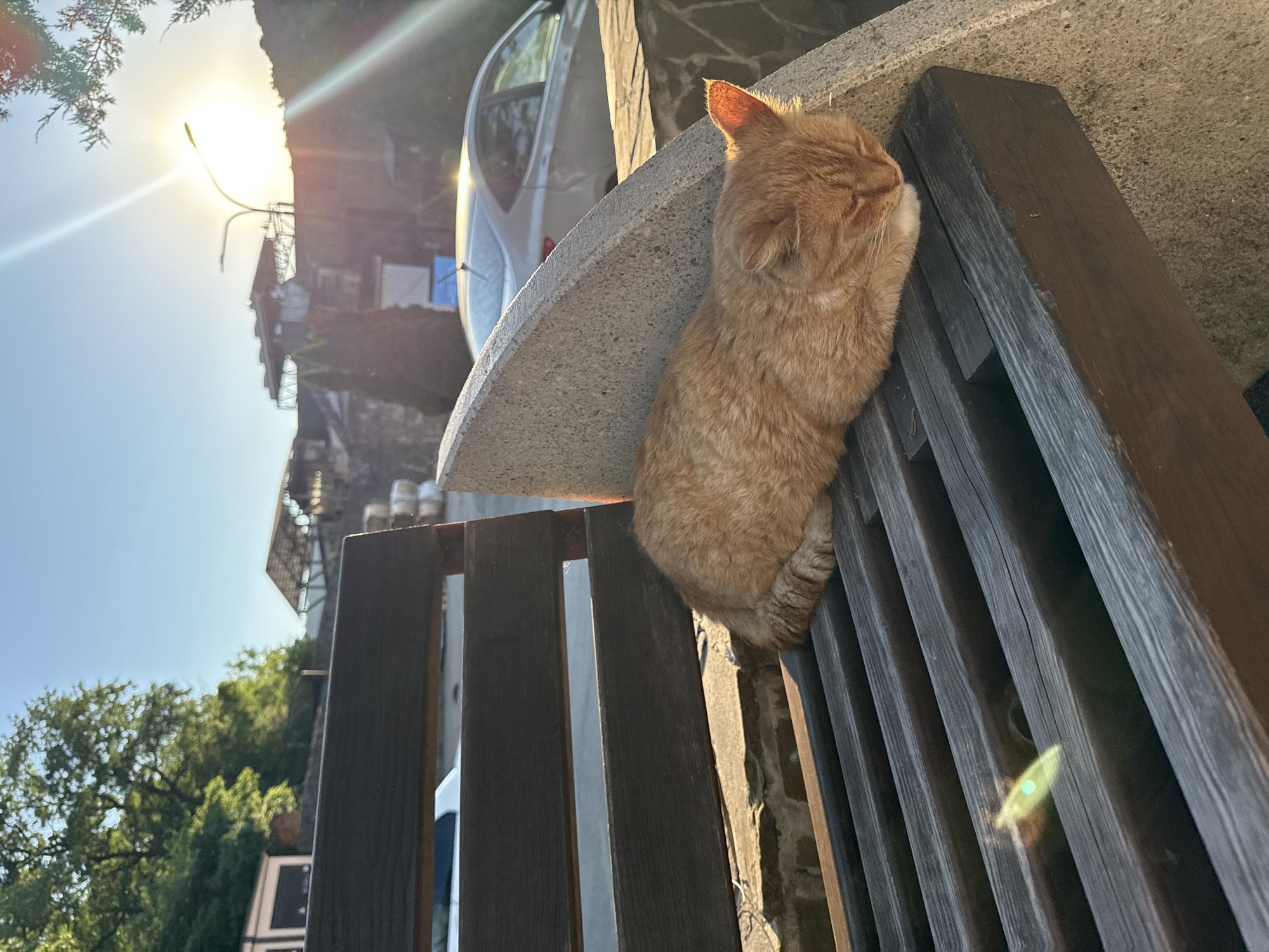 An orange tabby cat is resting on a wooden railing in Abrau-Dyurso, Russia. The cat is facing to the right with its eyes closed and its ears perked up. The sun is shining brightly, casting a warm glow on the cat's fur and illuminating the scene. In the background, a white car is parked, and there are trees and buildings visible. The time of day appears to be late afternoon or early evening, given the angle of the sun and the warm lighting. The weather is clear and sunny. The cat appears to be relaxed and comfortable, enjoying the warmth of the sun. There is no visible text in the image.