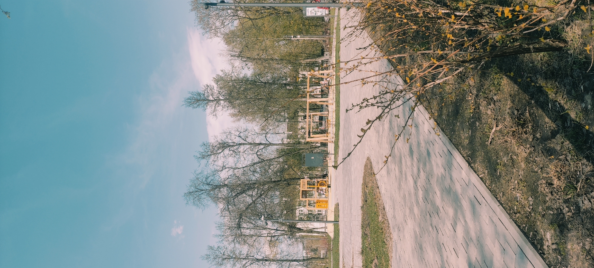 The image presents an outdoor scene of a park pathway in Fryazino, Russia. The foreground shows a paved walkway with brick-like patterns, extending into the background. Along the path, there's a patch of grass growing within the walkway. To the right of the walkway is an area of dry, brown foliage. A leafless bush with yellow buds overhangs the path.
In the midground, the pathway is lined with sparse trees. Across the path are wooden structures. The background features additional trees and a partial view of buildings. The sky above is pale blue with scattered clouds. The general lighting suggests it is daytime. There are no visible people or overt interactions.