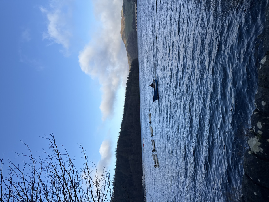 A wide-angle photograph depicts a reservoir in the High Peak area, United Kingdom, under a clear blue sky marked by scattered white cumulus clouds. The foreground consists of rippled, dark blue water. A low, dry stone wall or rocky bank occupies the bottom edge of the frame. Bare tree branches are visible in the upper left, silhouetted against the sky. The distant shoreline is dominated by a dense, dark green coniferous forest covering a hill, which transitions to lighter green, open hills on the far right. A multi-arched bridge or viaduct structure is discernible in the far distance on the right side of the frame. In the mid-ground, a single individual, dressed in dark clothing, operates a light blue, motorized boat, moving from right to left across the water and leaving a visible wake. To the left and slightly behind this moving boat, at least five additional smaller, light-colored boats, some equipped with outboard motors, are stationary in a line. Several orange buoys are also present further left in the water.