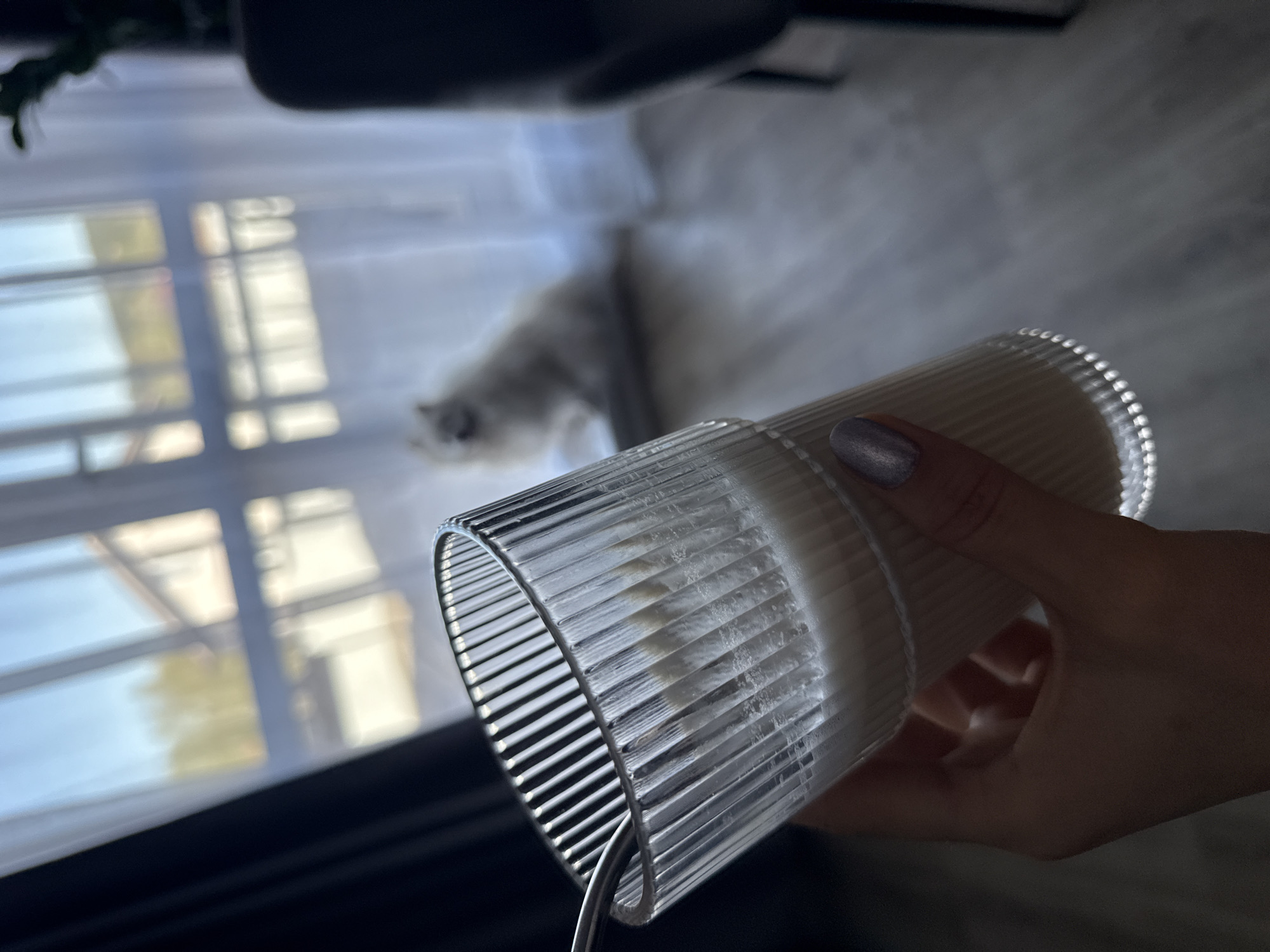 The scene depicts a hand holding a clear, ridged glass filled with a white liquid, likely milk, against the backdrop of a window in what is presumably a residential setting. Through the window, a blurred view of the outside is visible, featuring what appears to be part of a building and trees. In the background, out of focus, is a light-colored furry object that resembles a cat on a white rug or surface. The location is presumed to be in Лобаново, Russia.