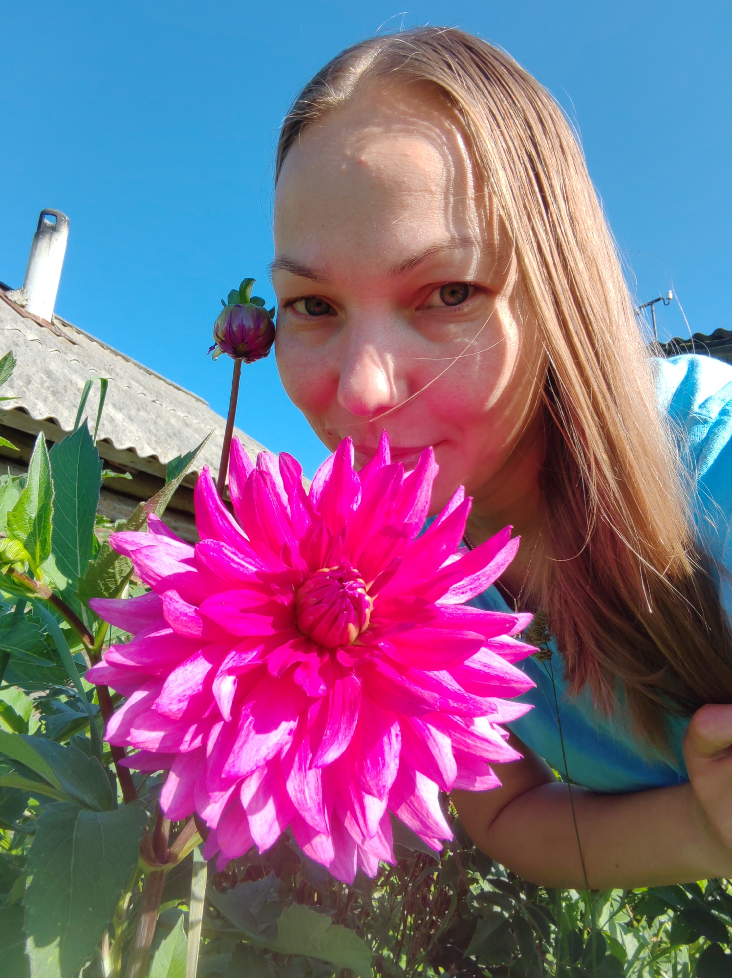 An outdoor, low-angle, medium shot shows a young Caucasian woman with long blonde hair and green eyes, looking into the camera. She is leaning forward, her face partially obscured by a large, bright pink dahlia flower. The flower's petals are layered and pointed, with a lighter pink hue towards the center. A dark purple dahlia bud is visible just above the main flower and slightly to the left of the woman's face. The woman is wearing a light blue t-shirt. Her hair is slightly windswept, with some strands falling across her face and shoulder. Sunlight casts shadows on her forehead and cheek. In the background, a rustic, weathered roof of a building is visible, with a white chimney pipe to the left. The sky is a clear, bright blue. The scene appears to be set in a garden or rural area, possibly in or around Chuchloma, Russia, given the architectural style. The focus is sharp on the flower and the woman's face.