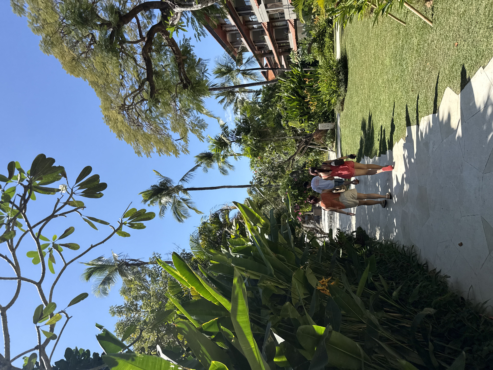 The image depicts a sunny outdoor scene with lush tropical vegetation and a clear blue sky. A paved walkway, composed of irregularly shaped light-colored stones, winds through the landscape. On the left side of the walkway, large, vibrant green leaves of tropical plants, possibly including banana or bird of paradise plants, create a dense border. In the distance, several palm trees are visible, with one tall palm tree prominently standing near the center of the frame.
To the right of the walkway, a neatly manicured green lawn stretches out. Beyond the lawn, a multi-story building with a reddish-tiled roof and balconies is partially visible. The building appears to be a resort or hotel, consistent with the location of Kuta Selatan, Indonesia, a popular tourist area known for its beaches and resorts.
Three individuals are walking away from the viewer on the paved path. The person in the foreground on the right wears a red romper and pink sandals. To their left and slightly ahead is a person in a white t-shirt and light-colored shorts. Further ahead and to the left is another person in an orange top and light-colored shorts. They are walking together on the path, suggesting they are a group.
The overall atmosphere is one of a tropical vacation destination, with the bright sunlight casting shadows on the pathway and lawn. The presence of the building, the walkway, and the groomed lawn indicates a developed resort area within Kuta Selatan.