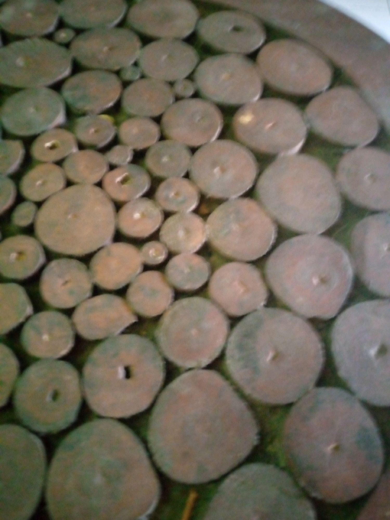 The image depicts a close-up, overhead view of a surface covered in numerous circular, flat objects arranged in a pattern. These objects appear to be made of a dark, grainy material, possibly wood or stone, and vary in size. Most of the circles have a lighter-colored, circular indentation in the center. The background is a muted green, suggesting a natural or textured surface. The lighting is diffuse, creating soft shadows and highlighting the texture of the circular objects. The image is slightly out of focus, giving it a soft, impressionistic quality. The scene is likely located in Sumberwono, Indonesia, and appears to be an artistic or decorative arrangement.