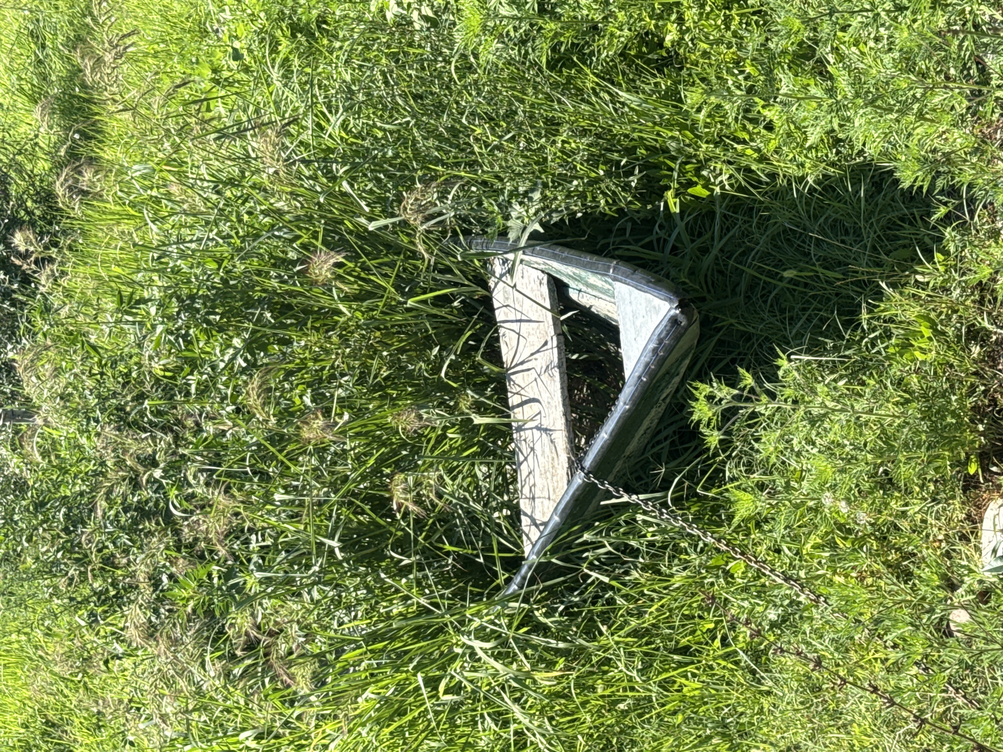 In Vranjina, Montenegro, a dilapidated, light green, triangular boat lies abandoned in tall, green grass. The boat has a wooden seat and appears to be made of metal. A rusty chain extends from the left side of the boat. The sun is shining, casting shadows and highlighting the overgrowth.